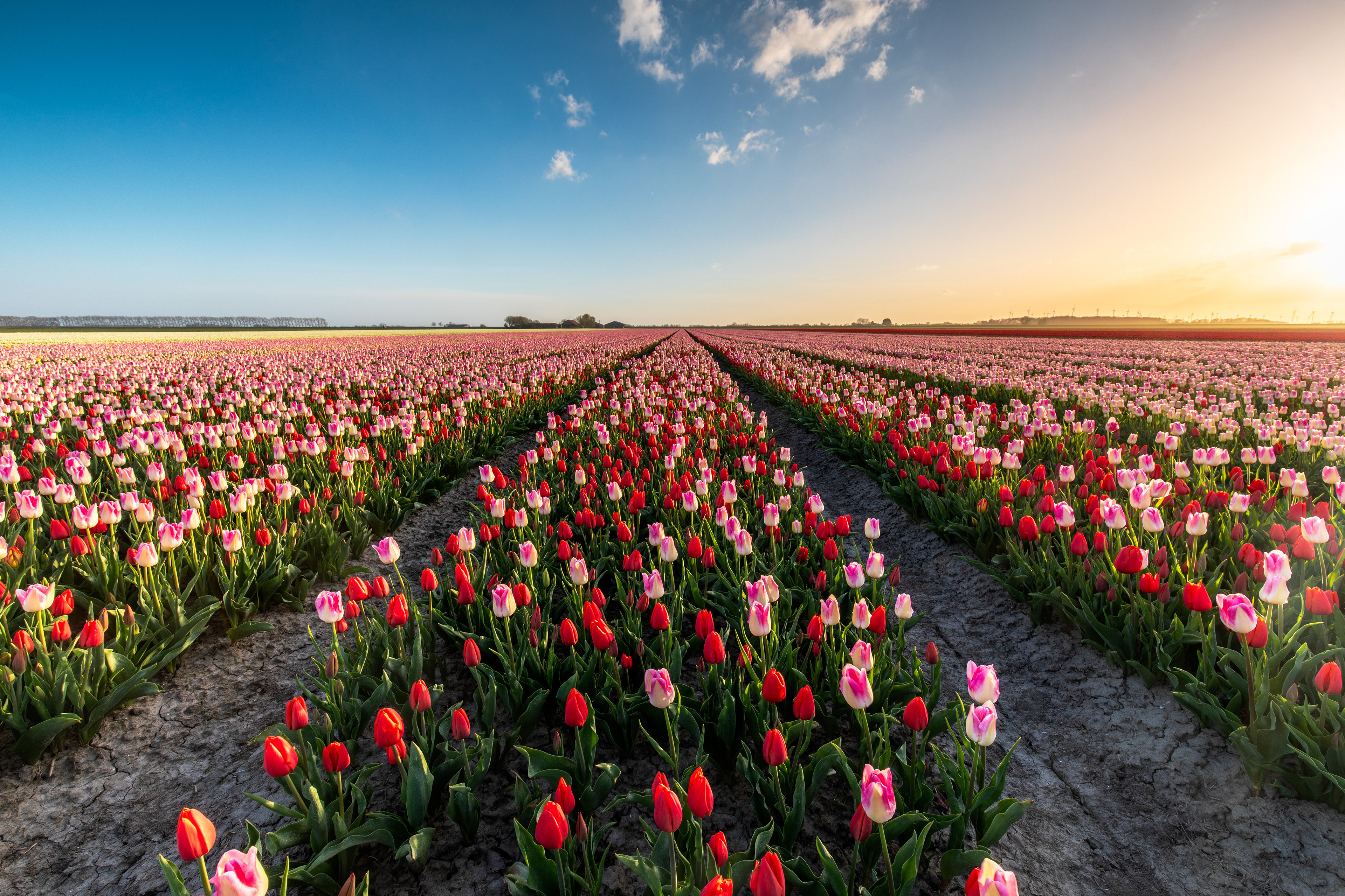 Johannes Kerkhovenpolder002