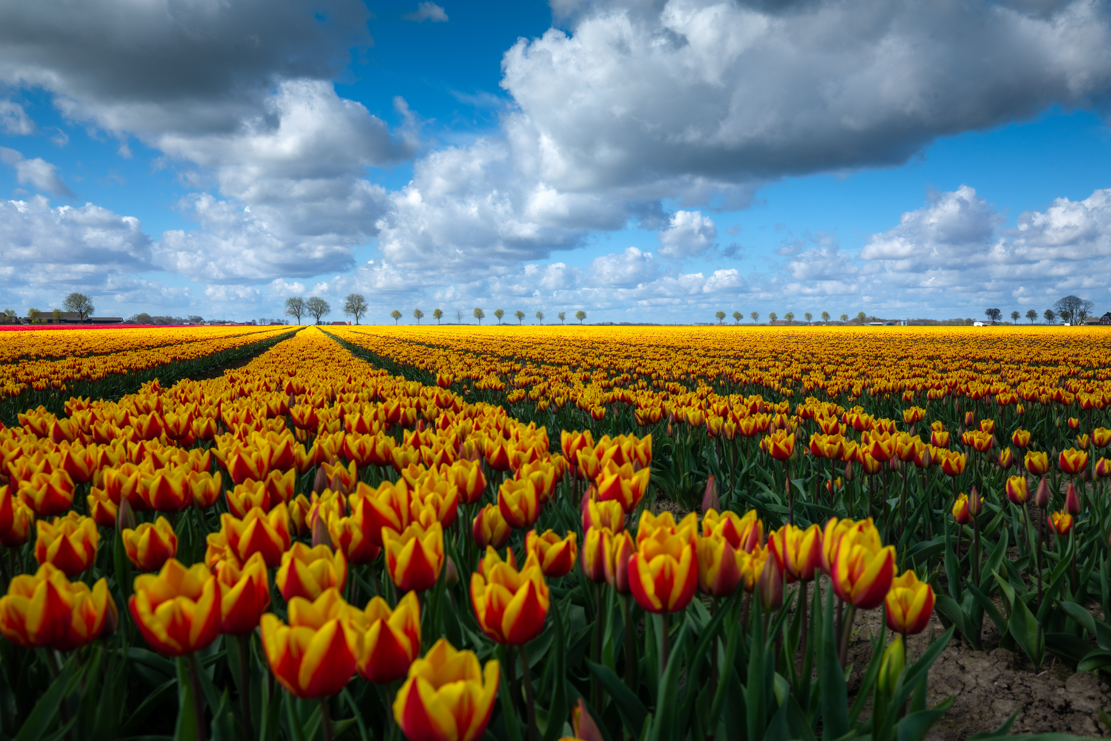 Carel Coenraadpolder | 07-04-'24
