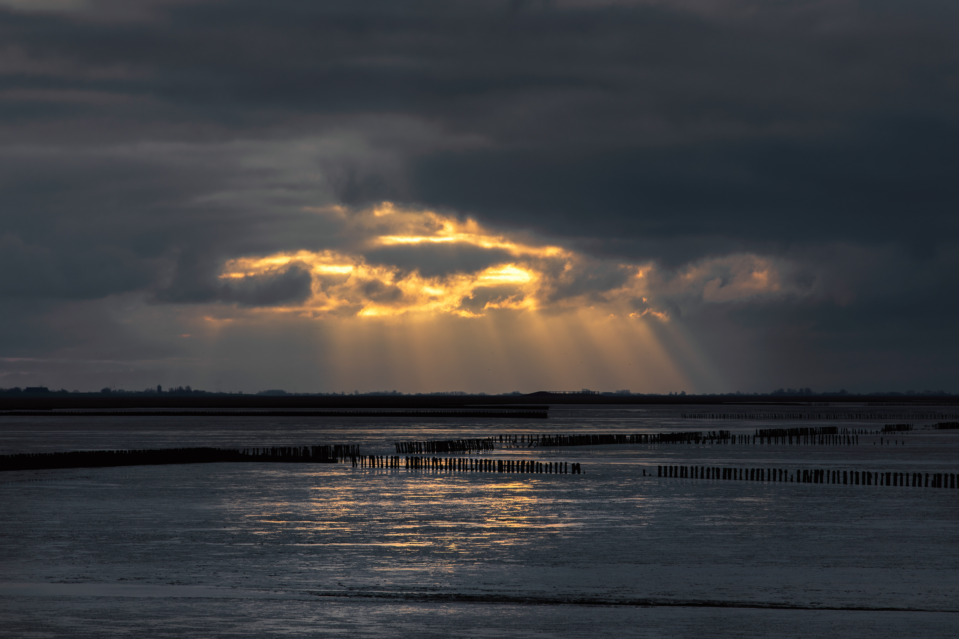 Holwerd | 22-01-23
