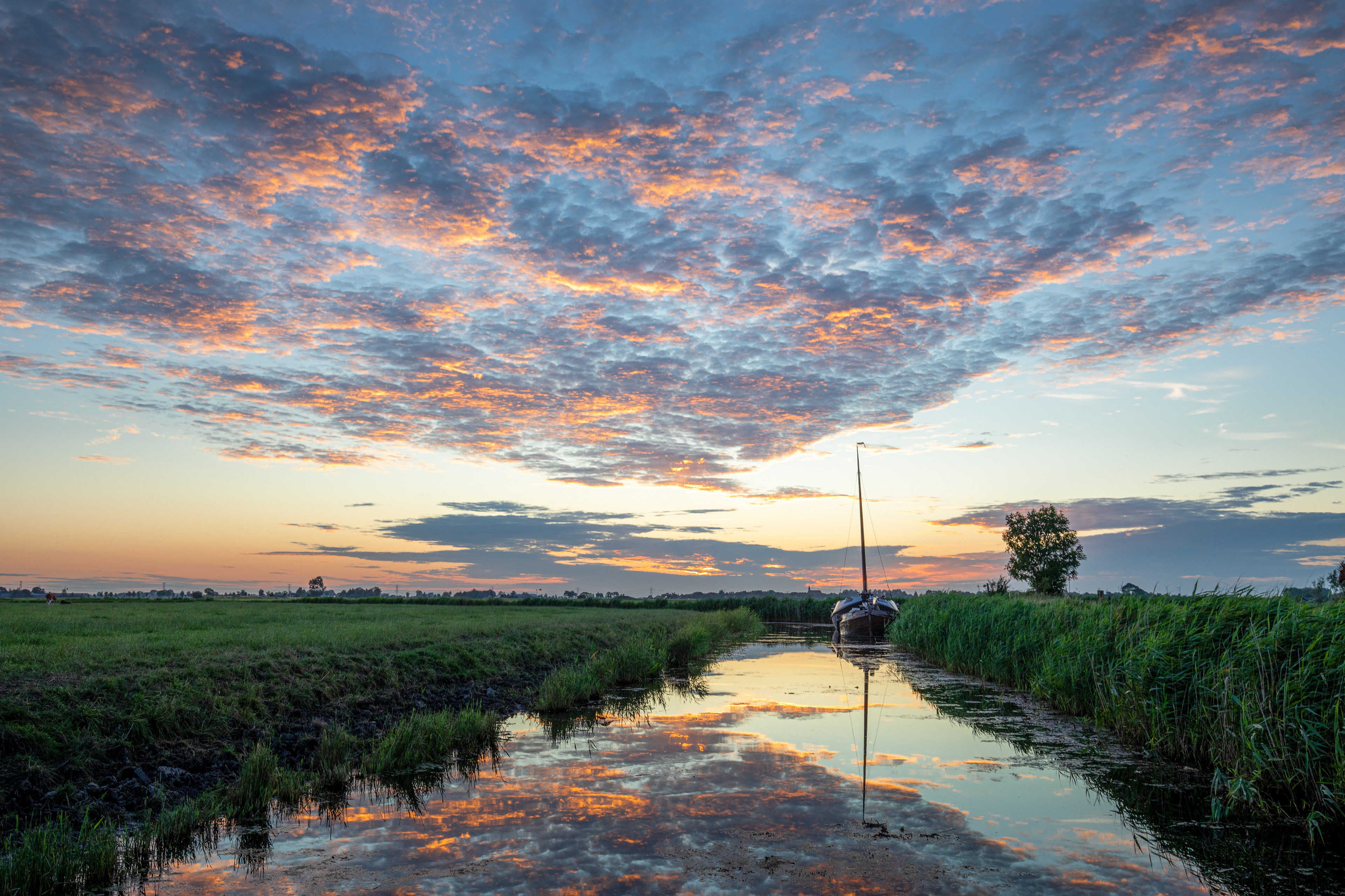 Uitwierde | 27-06-'25