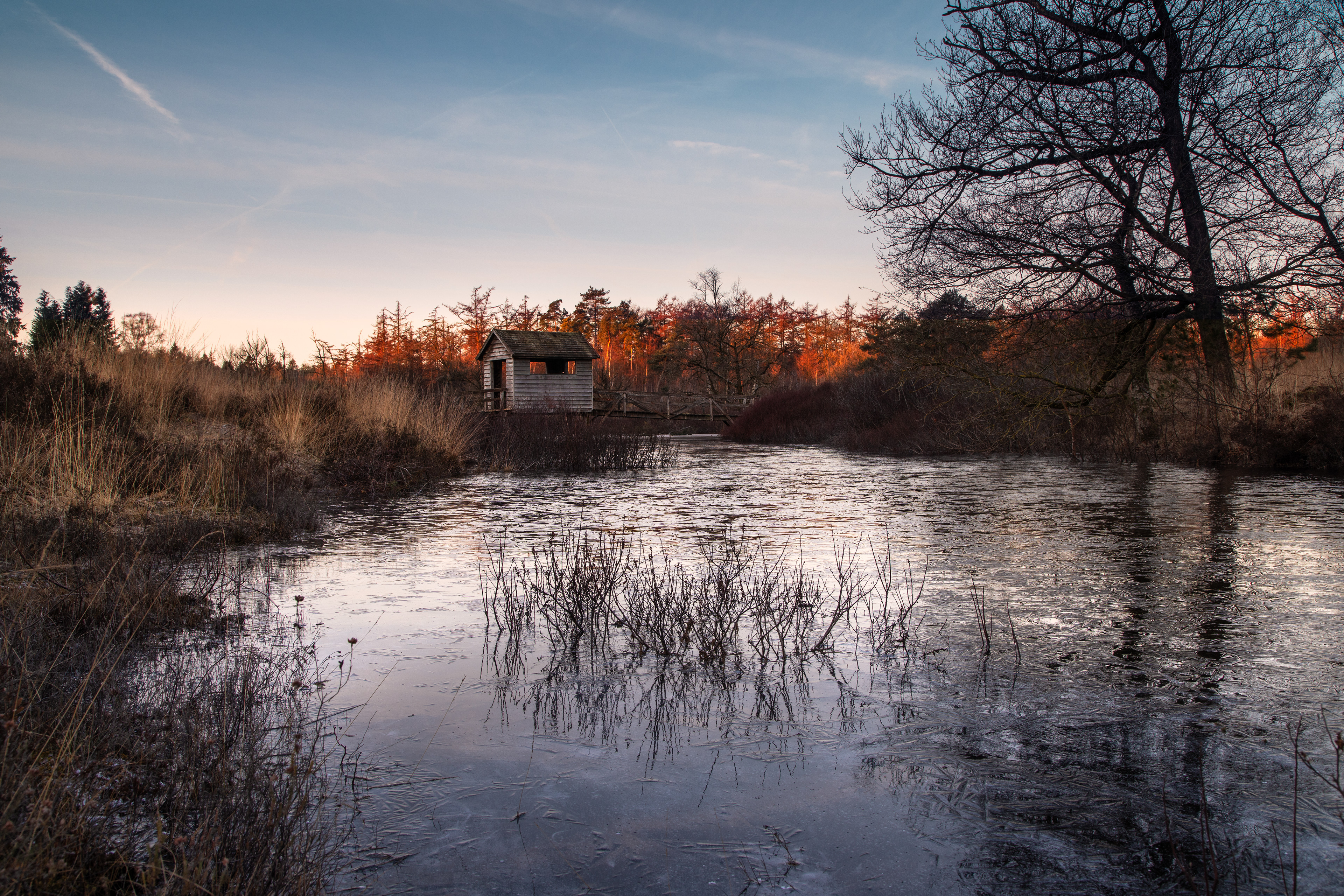 Haarplas | 19-02-'25 
