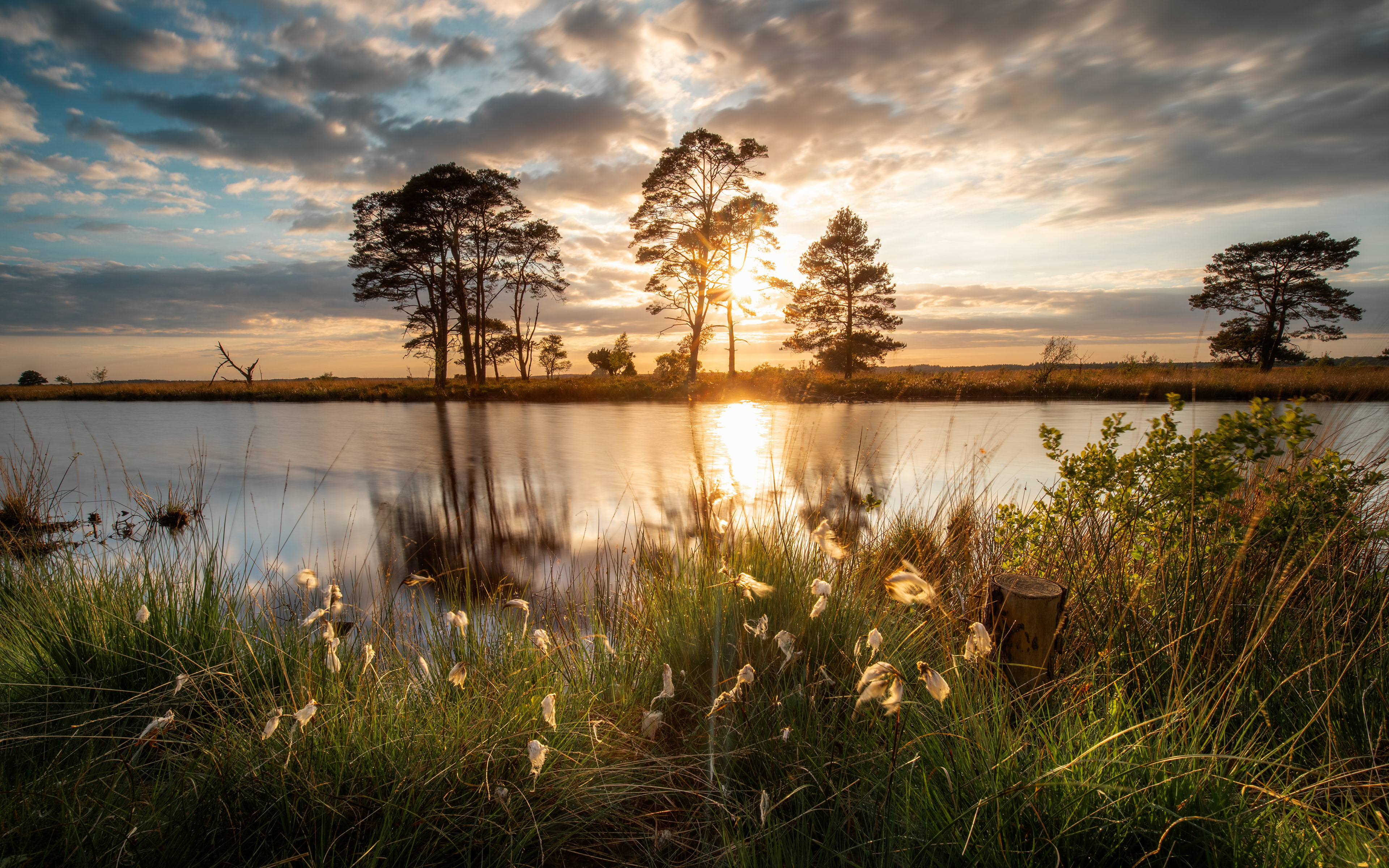 Dwingelderveld | 25-05-'25