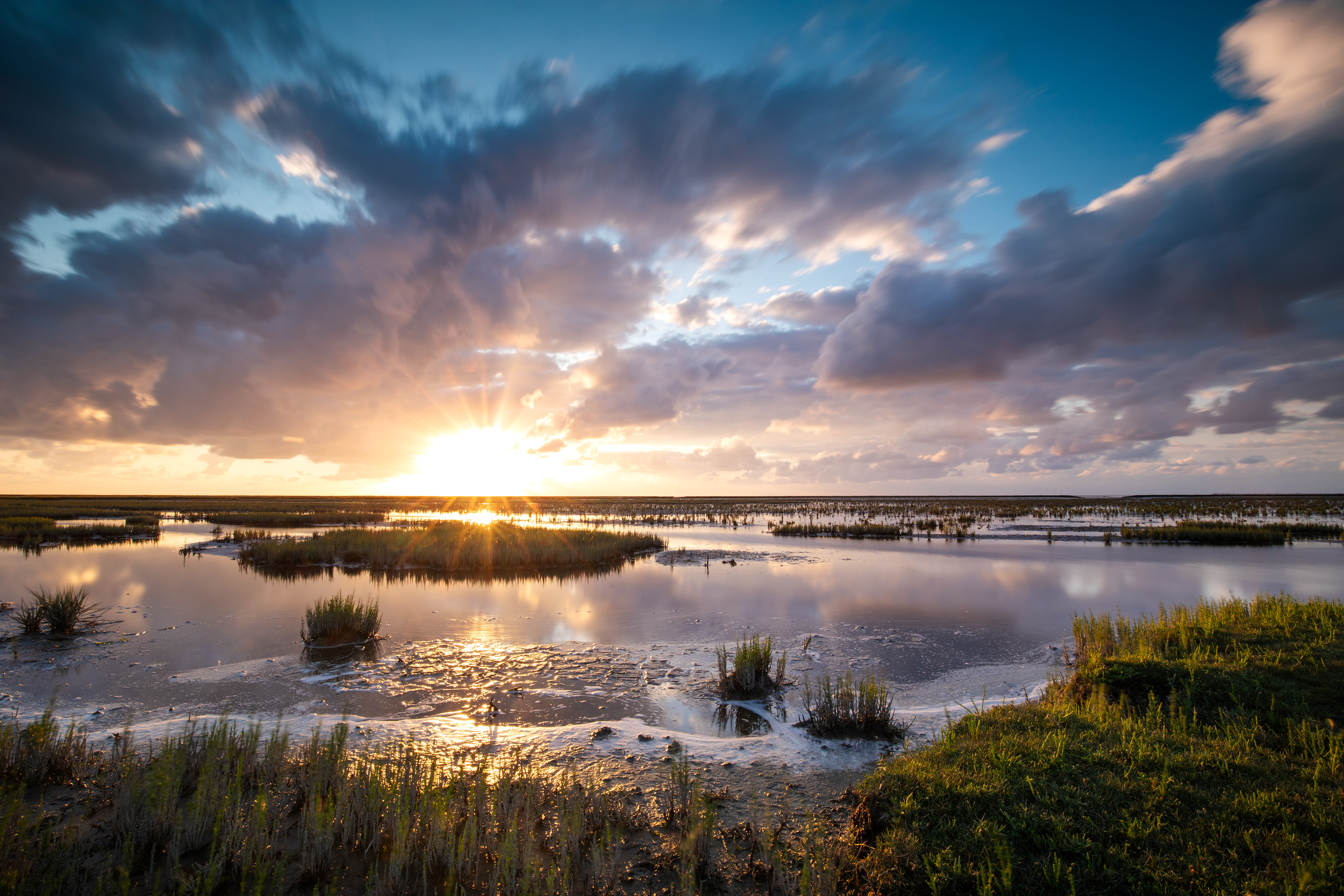 Emmapolder | 29-07-'25