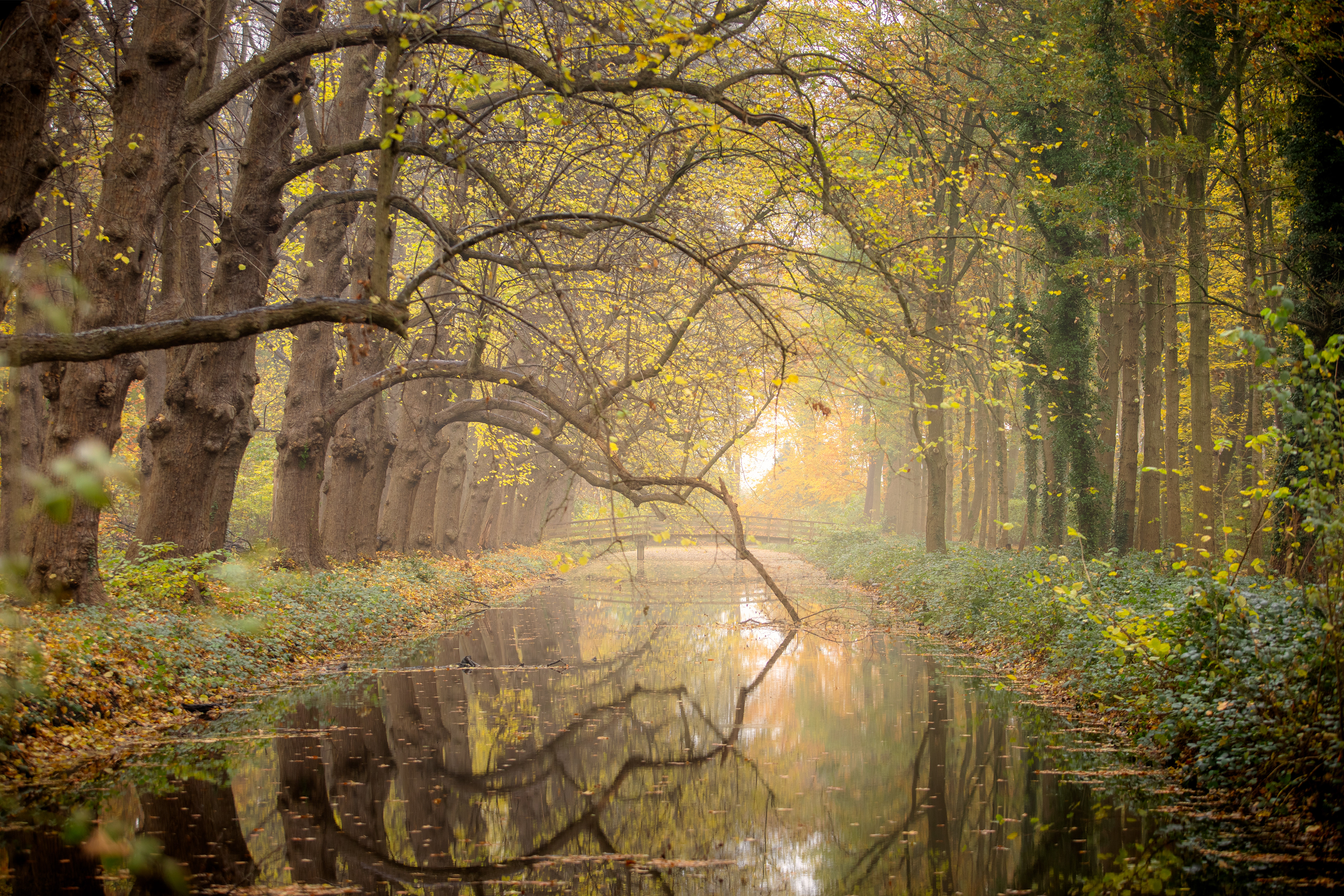 Ennemaborg | 18-11-23