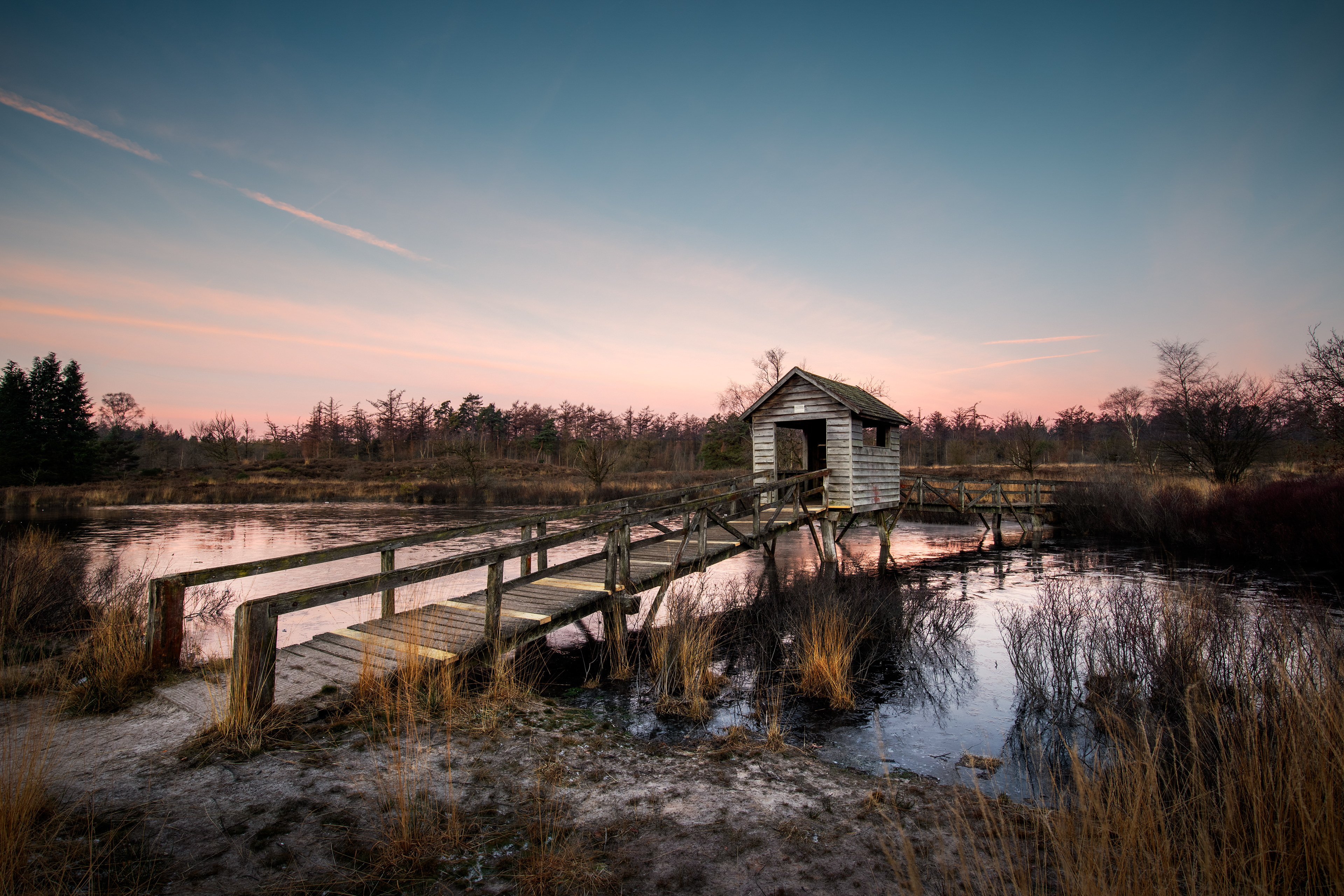 Haarplas | 19-02-'25 