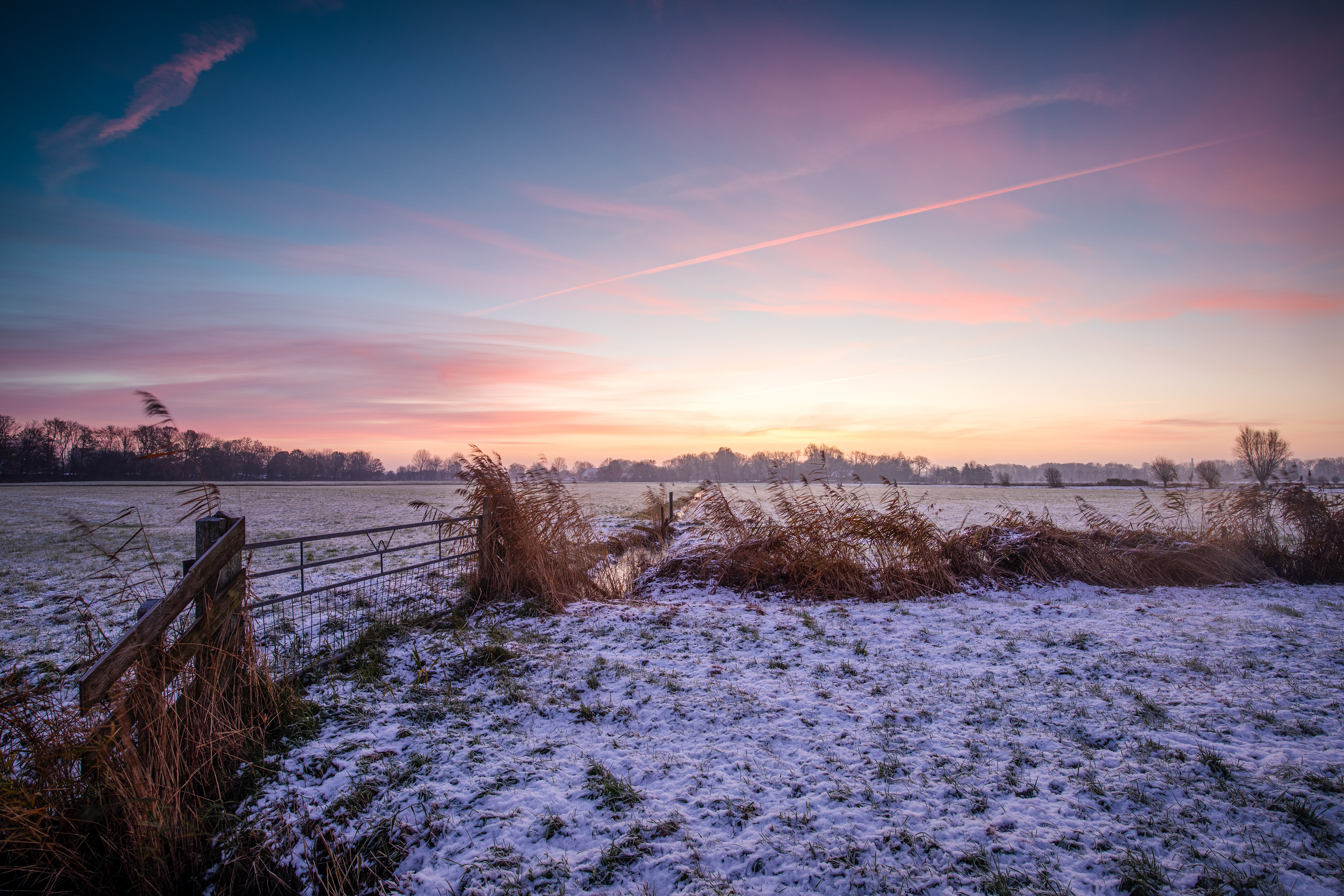 Biessumerbos | 22-11-'25