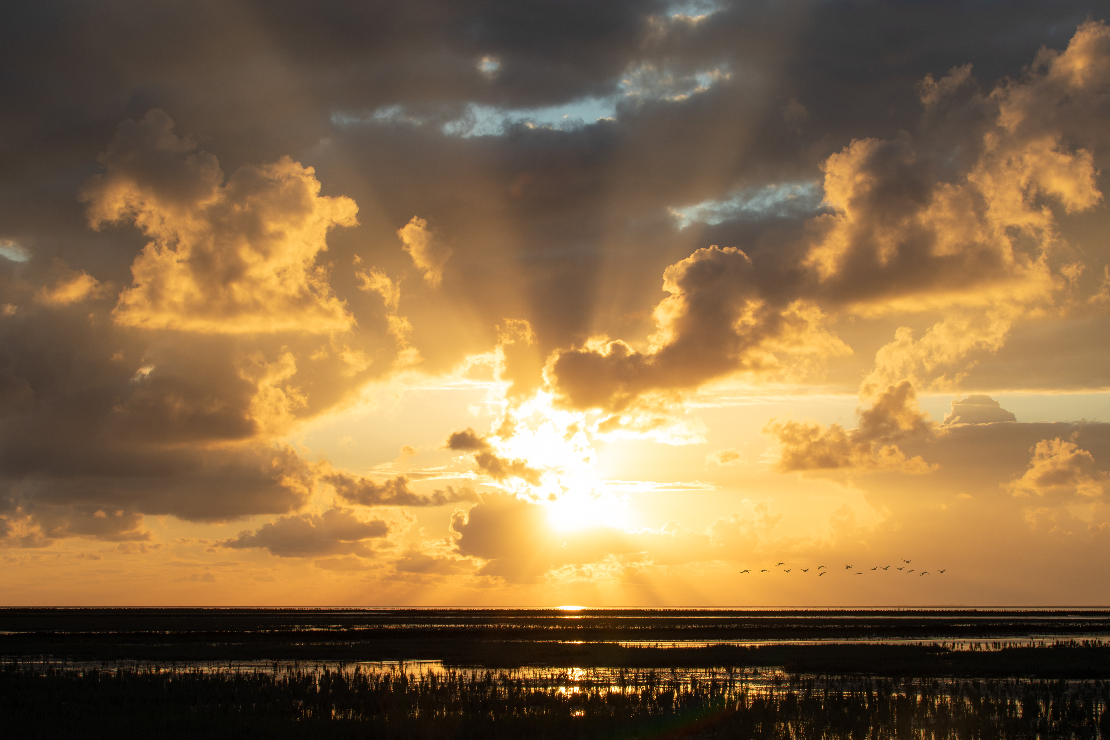 Emmapolder | 29-07-'25