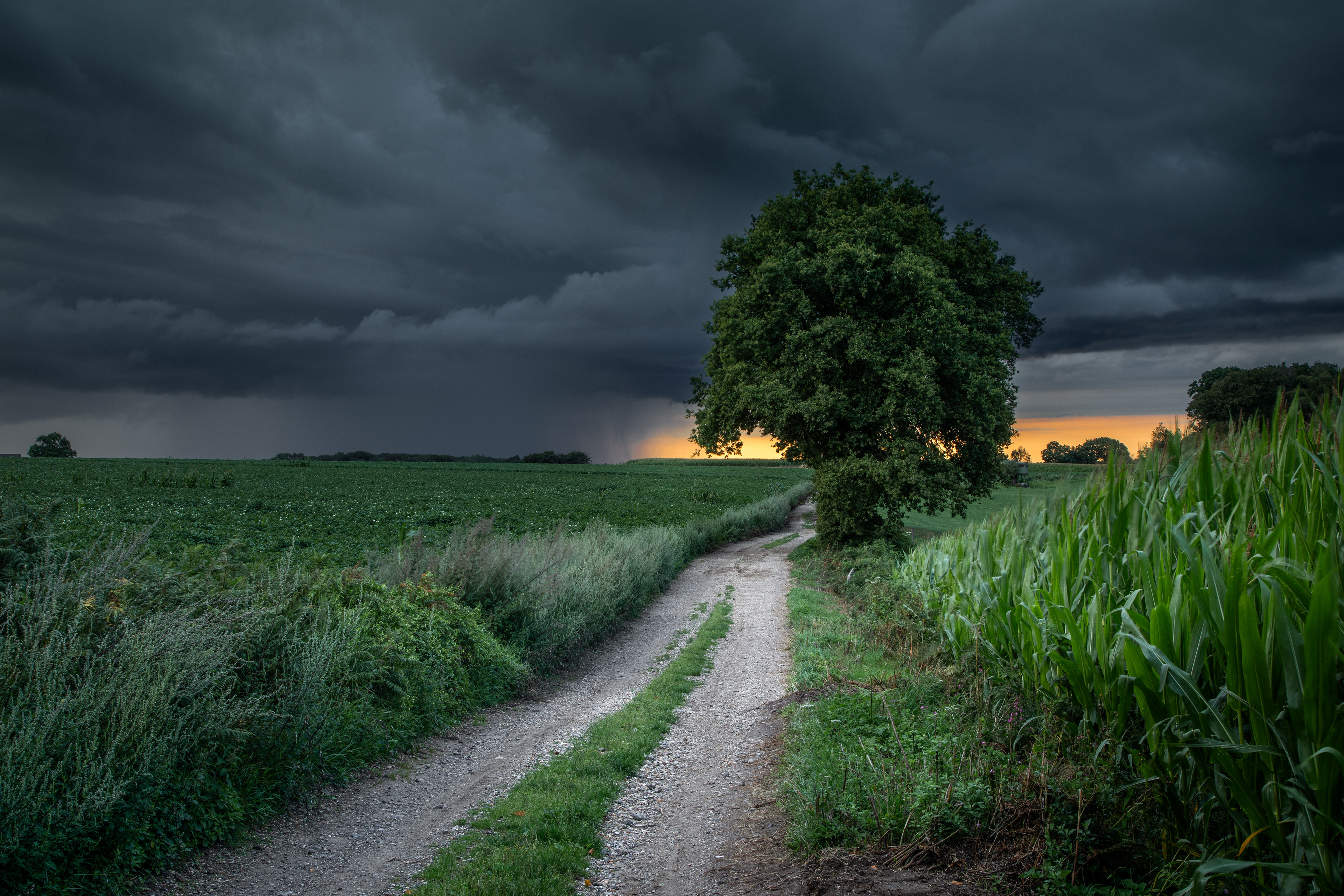 Zuid-Limburg | 28-07-23
