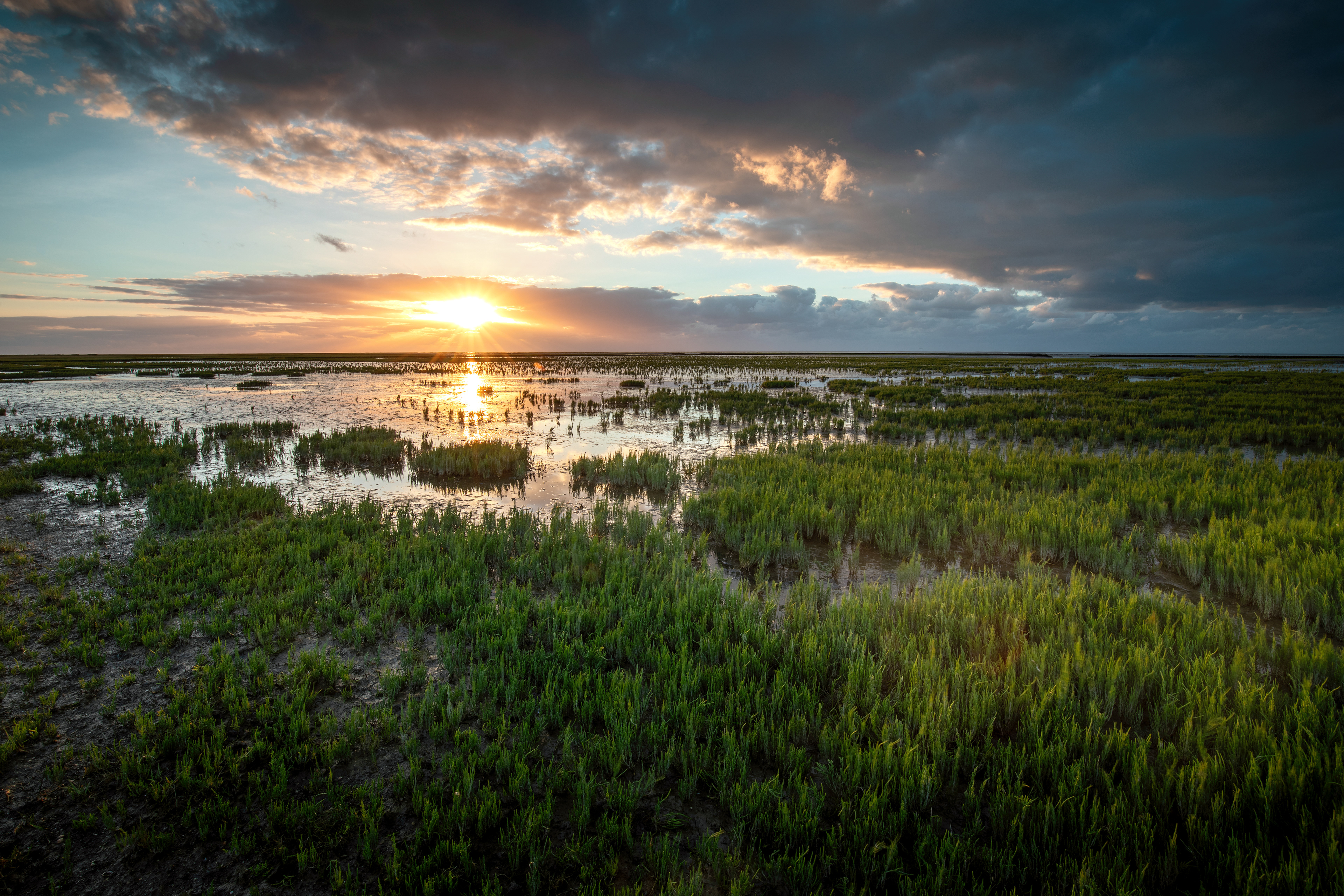Emmapolderdijk | 21-08-'24