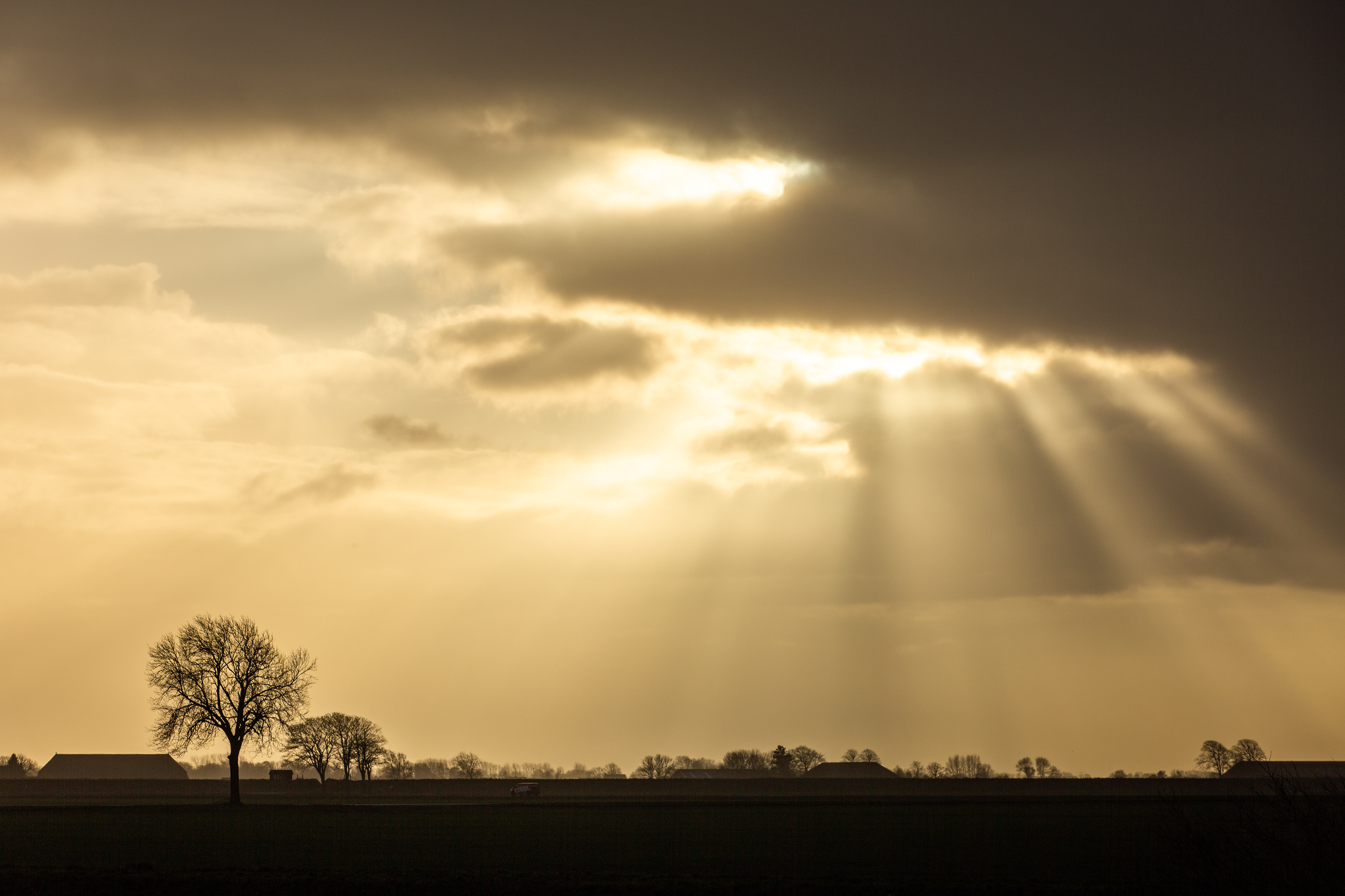 05-02-'22 | Carel Coenraadpolder