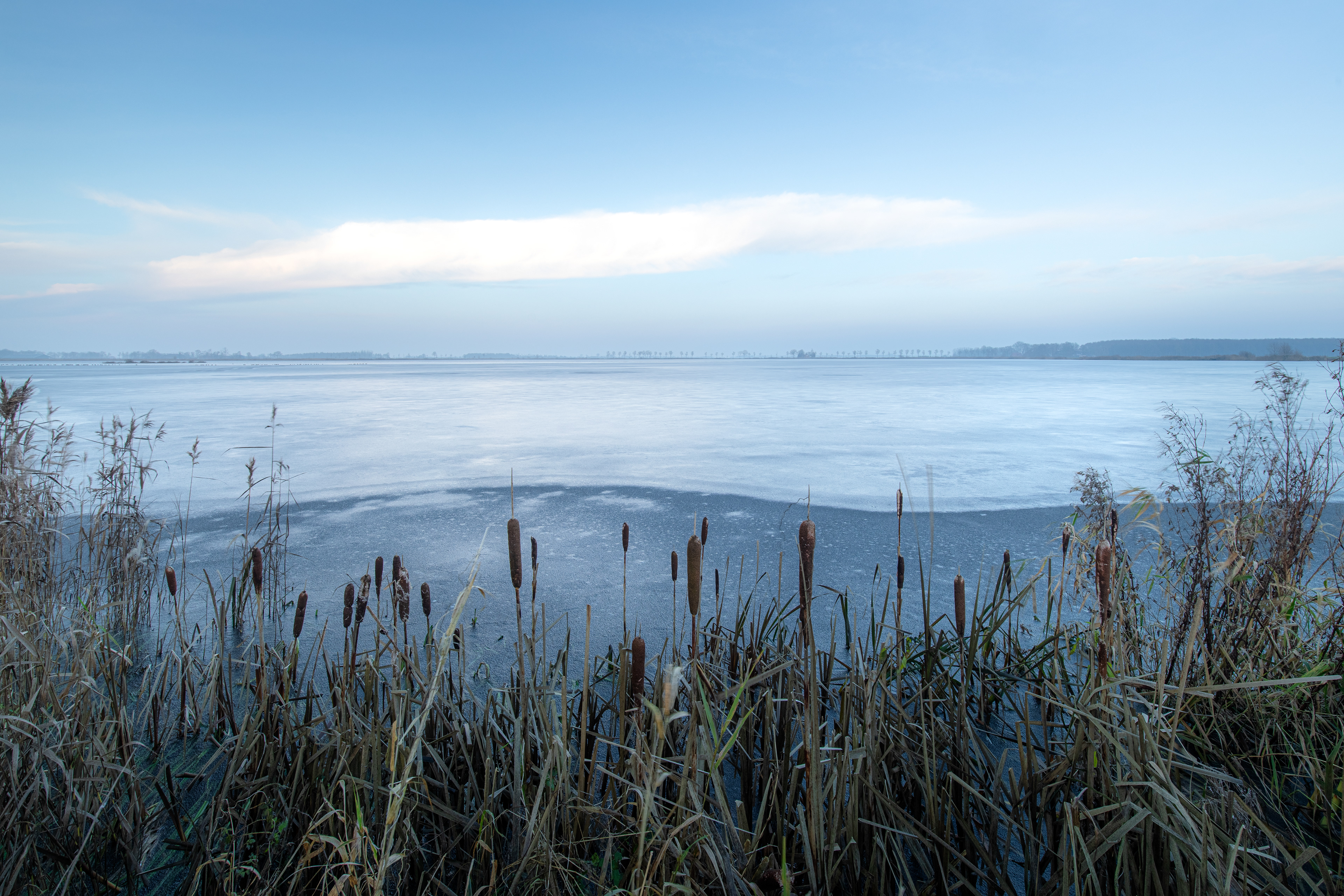 Dannemeer | 03-12-23