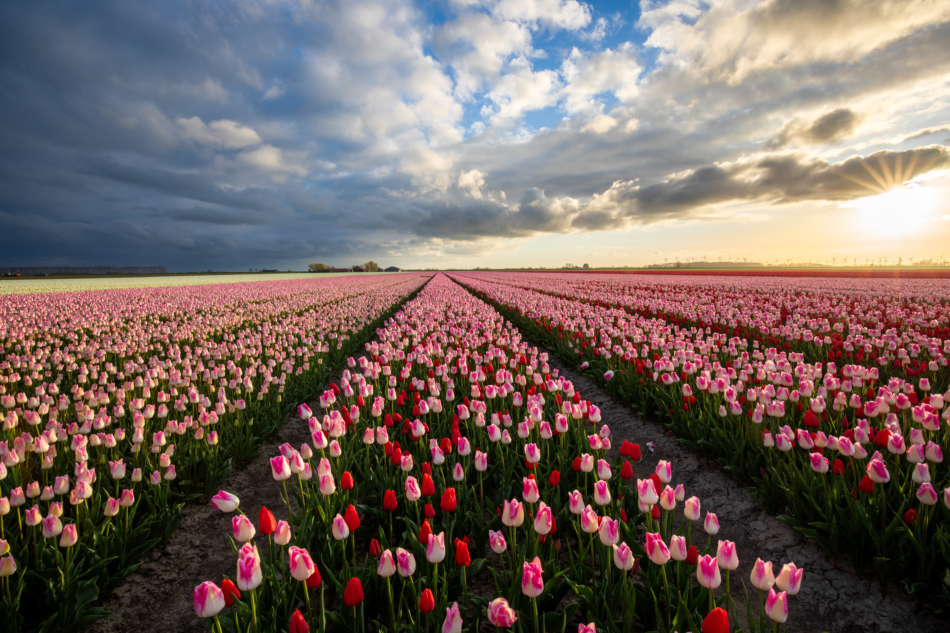 Johannes Kerkhovenpolder | 18 april