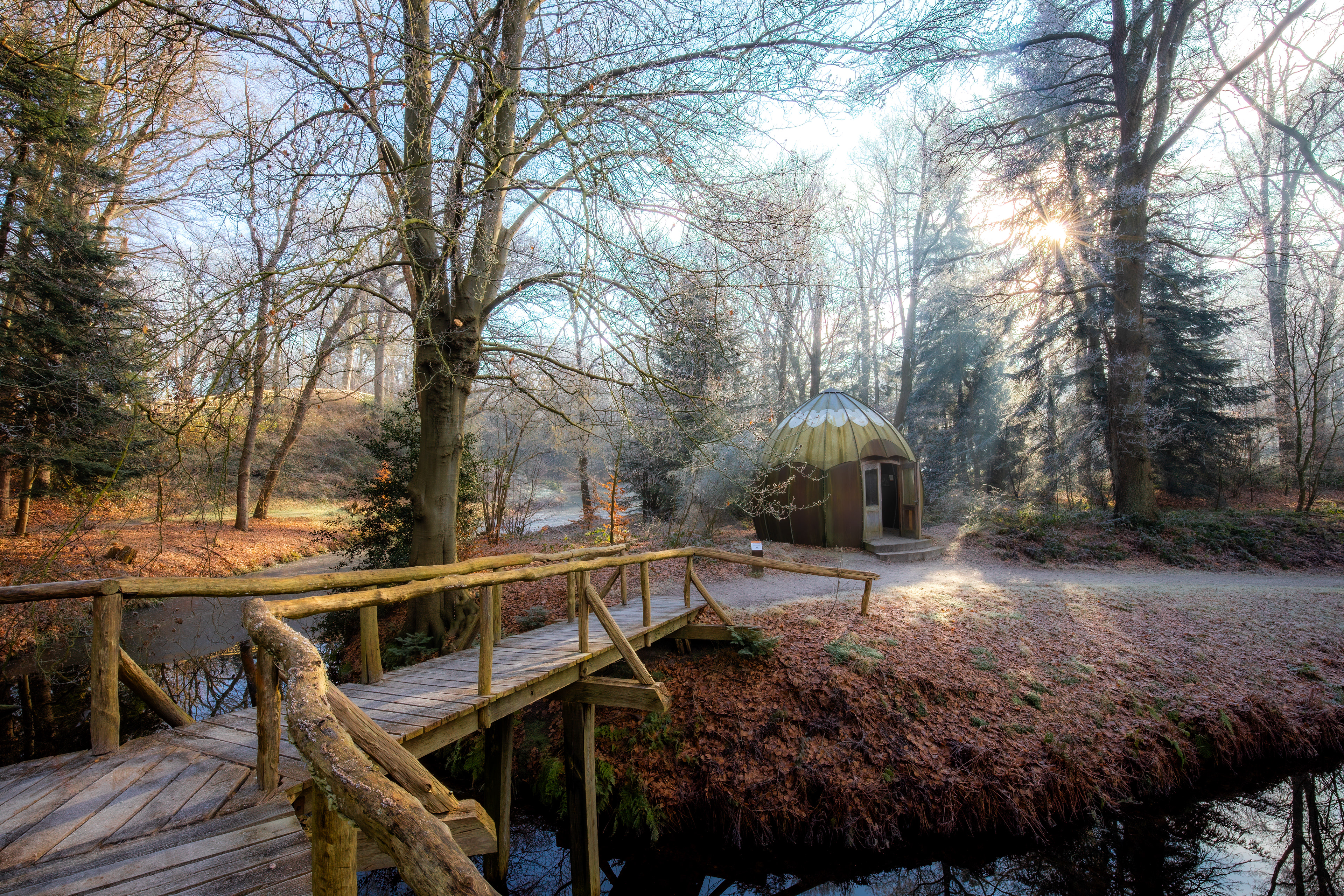 02-02-'25 | Slochterbos