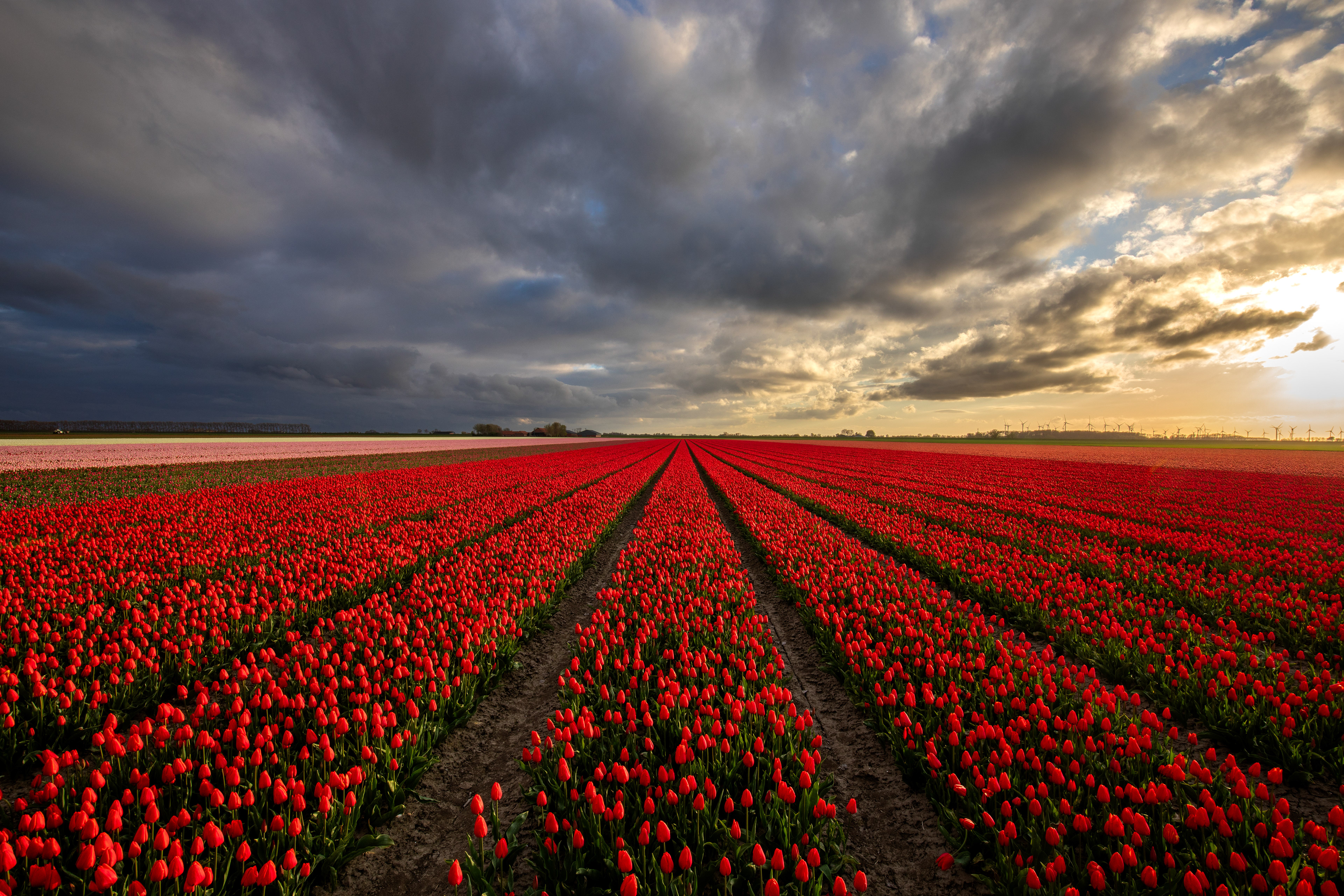 Johannes Kerkhovenpolder005