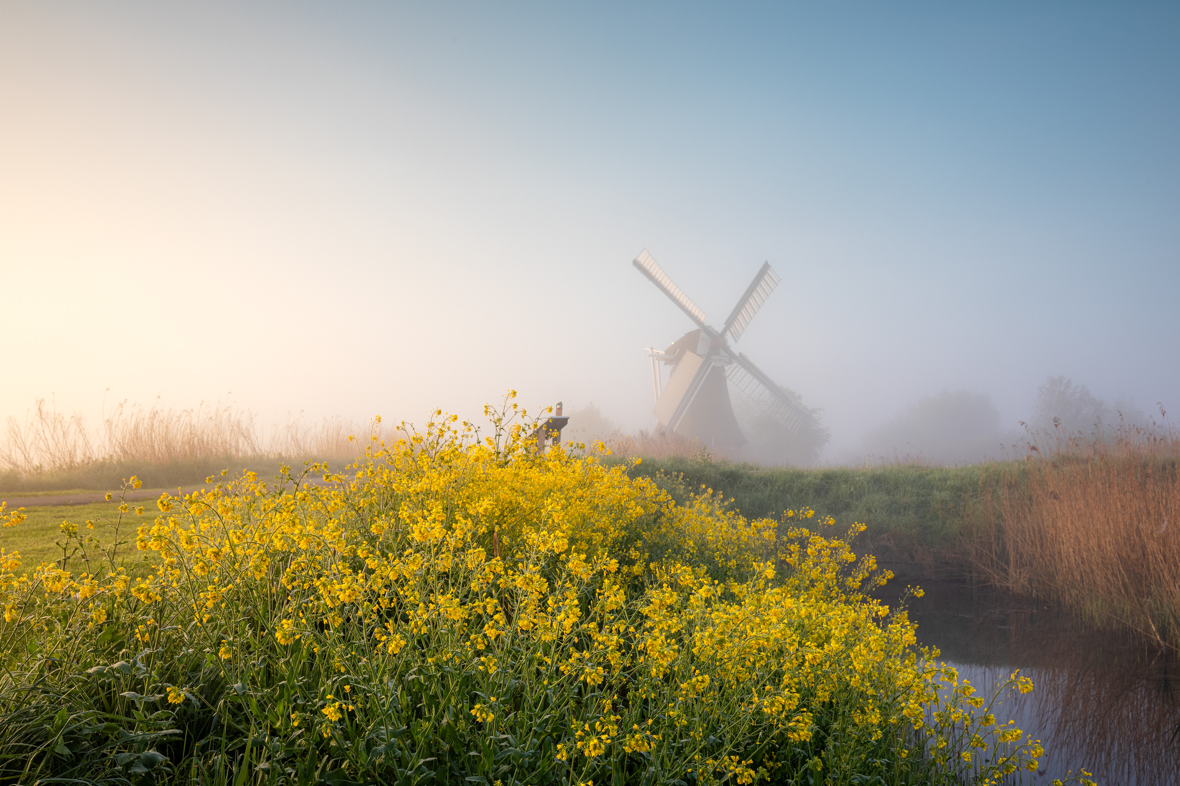 Noordermolen | 30-04-'25