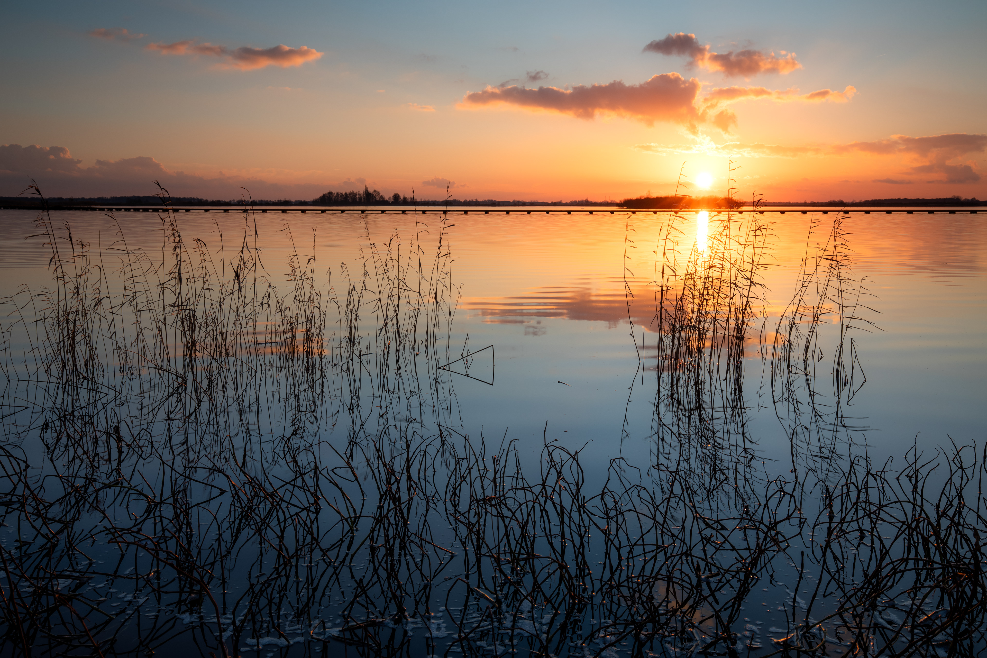 Dannemeer 't Roegwold | 31-01-'25