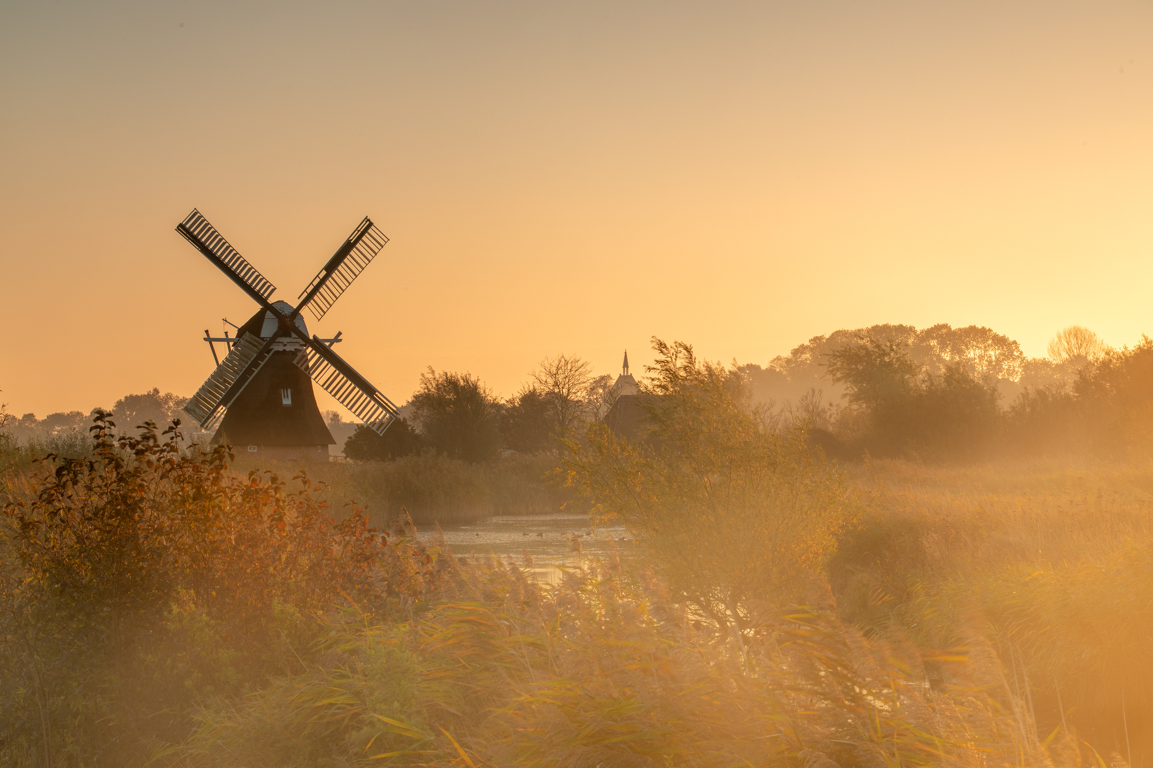 Noordermolen | 24-10-23