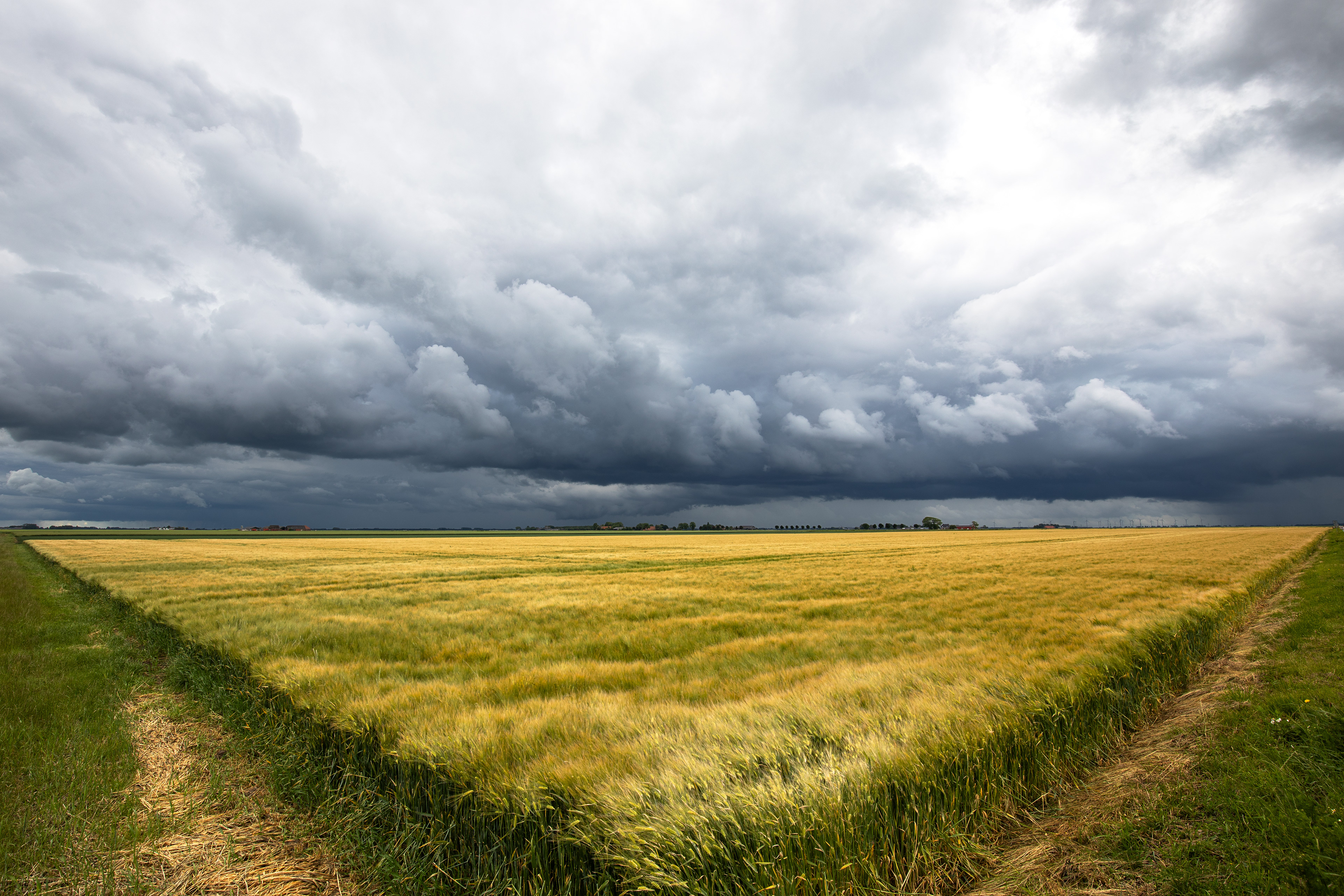 Oost-polder Groningen | 08-06-'25