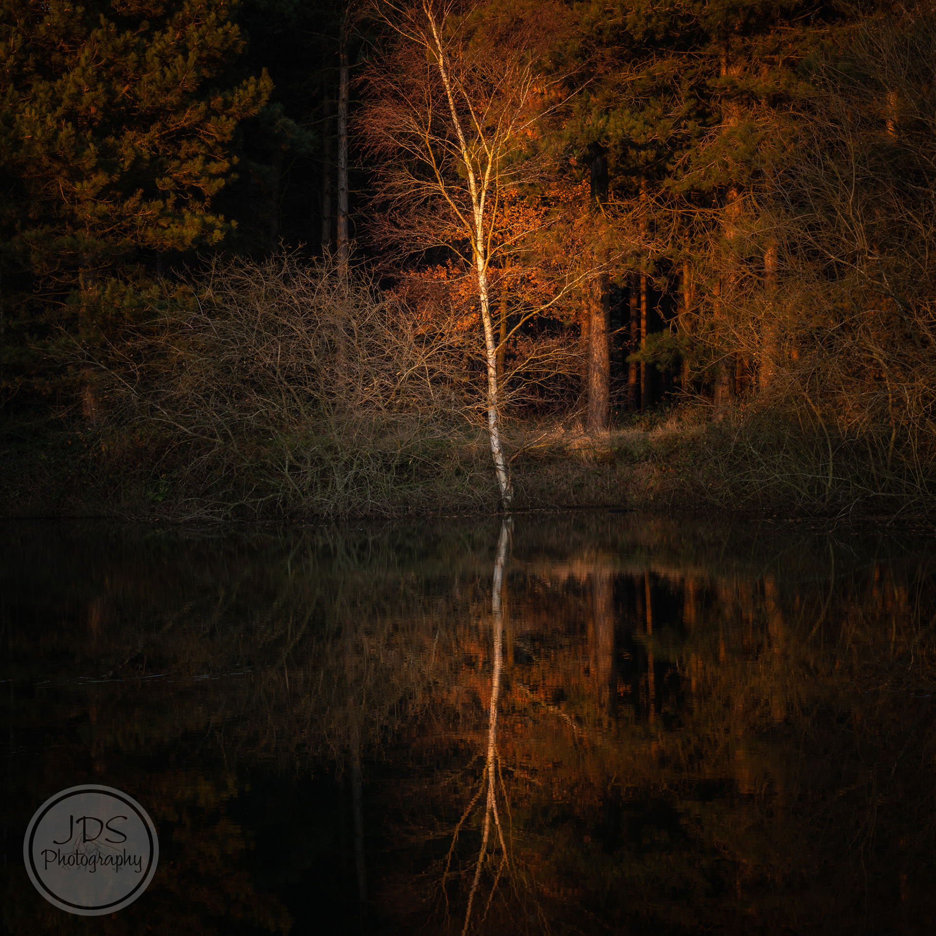 Odd Pond