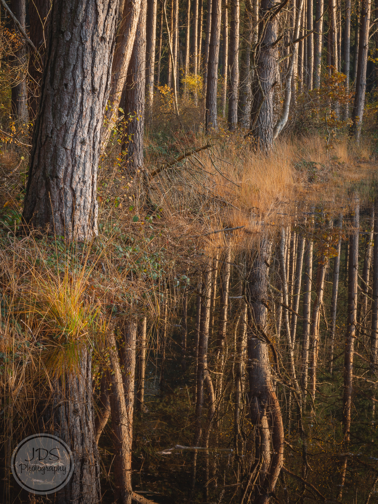 Reflections