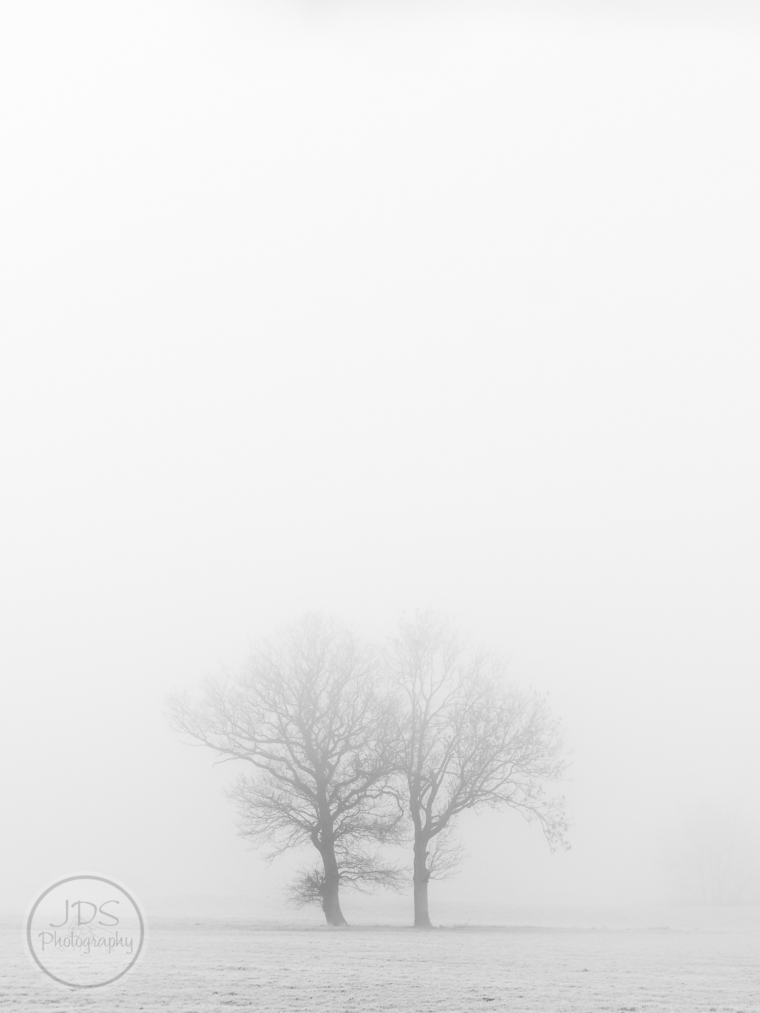 Fading Trees - This is Lincolnshire