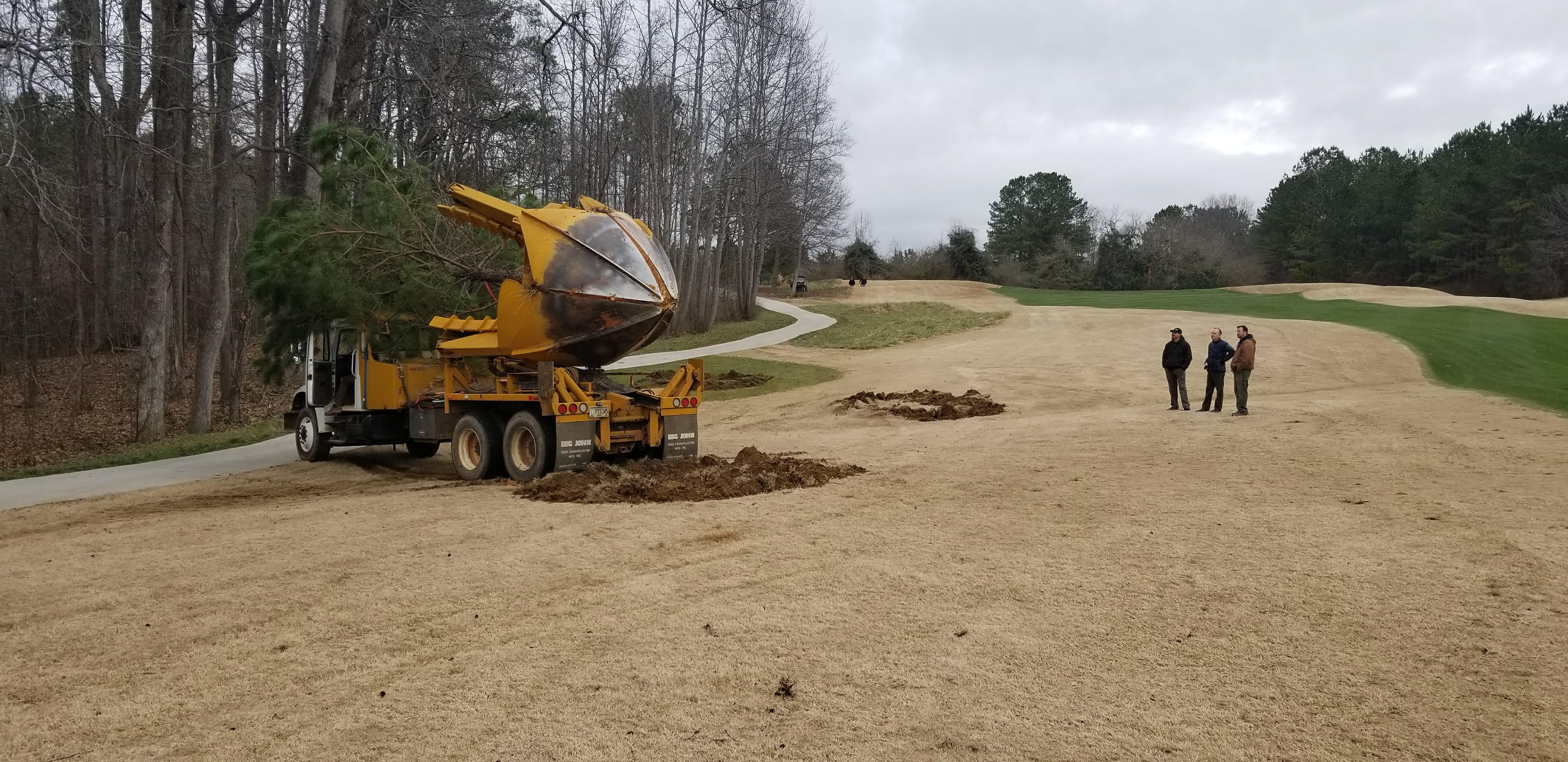 February 2018 tree transplant 15th hole