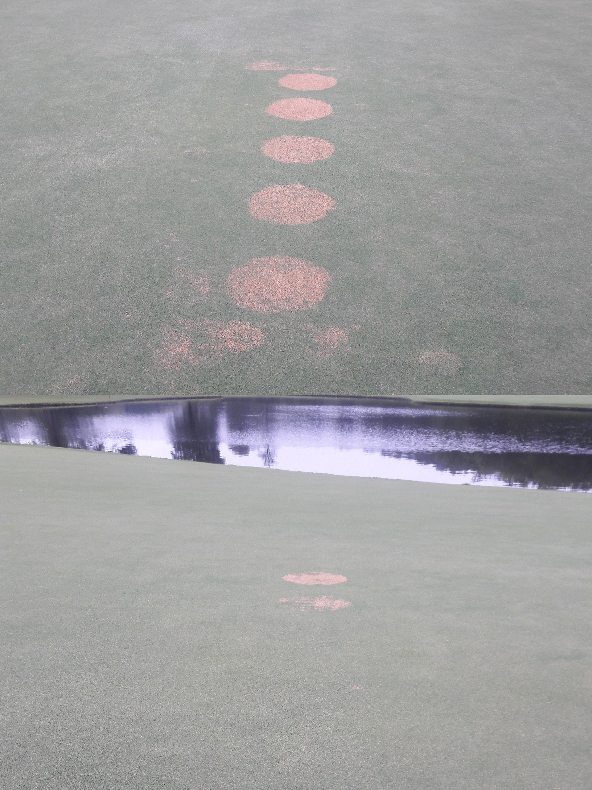 Passion for research