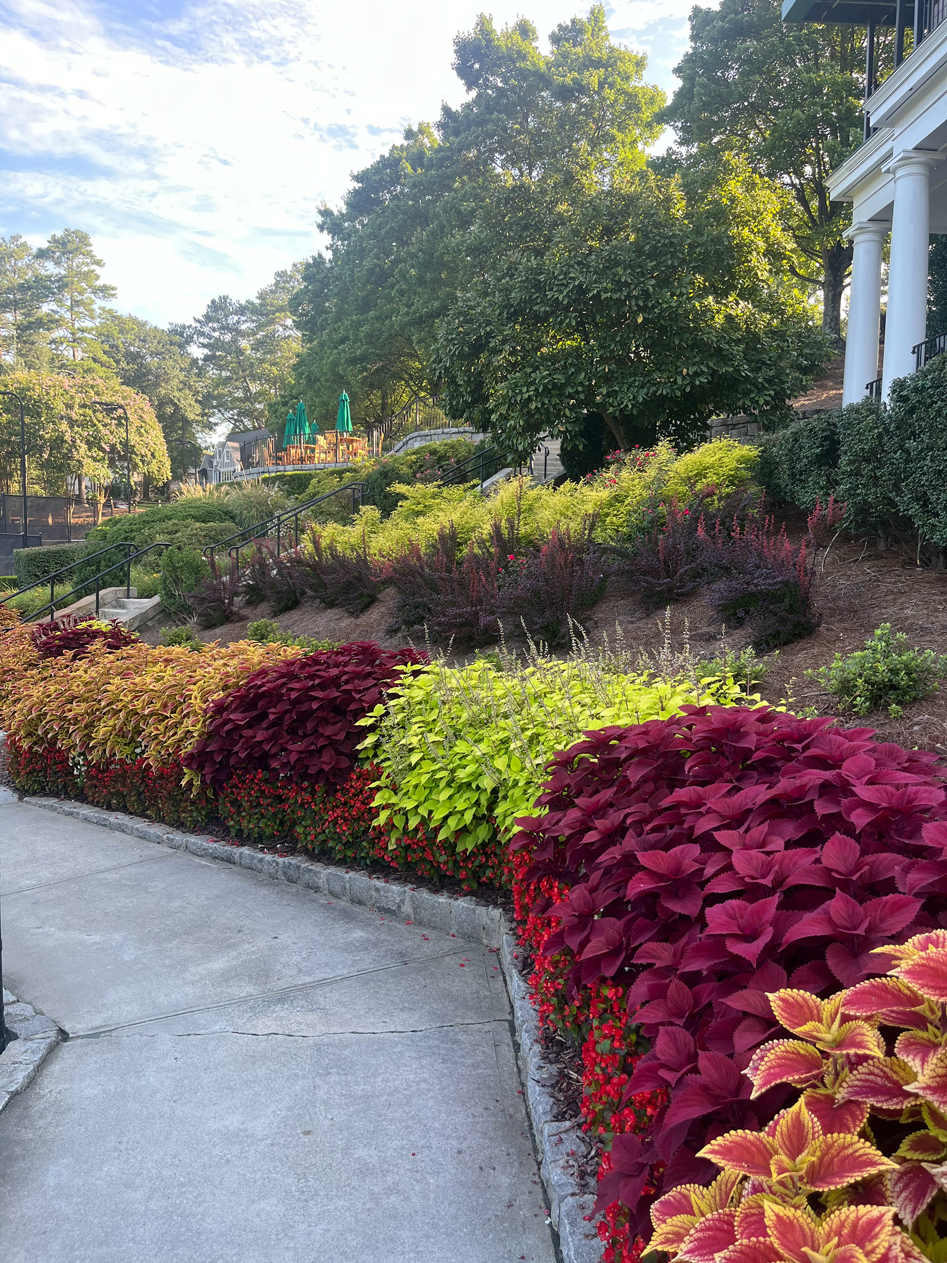 Landscape install and design