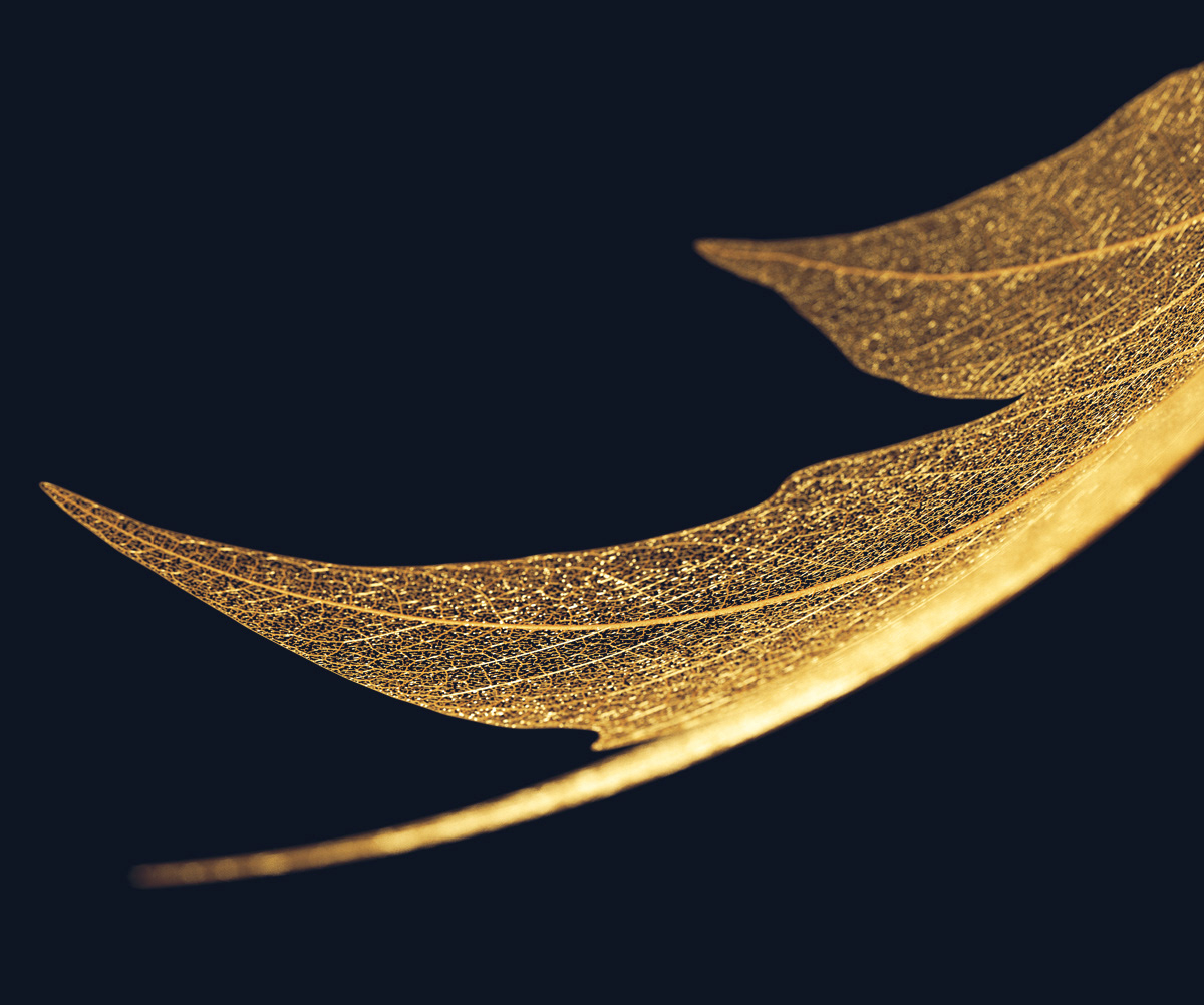 render of Gold Leaf Skeleton by Malcolm Tween