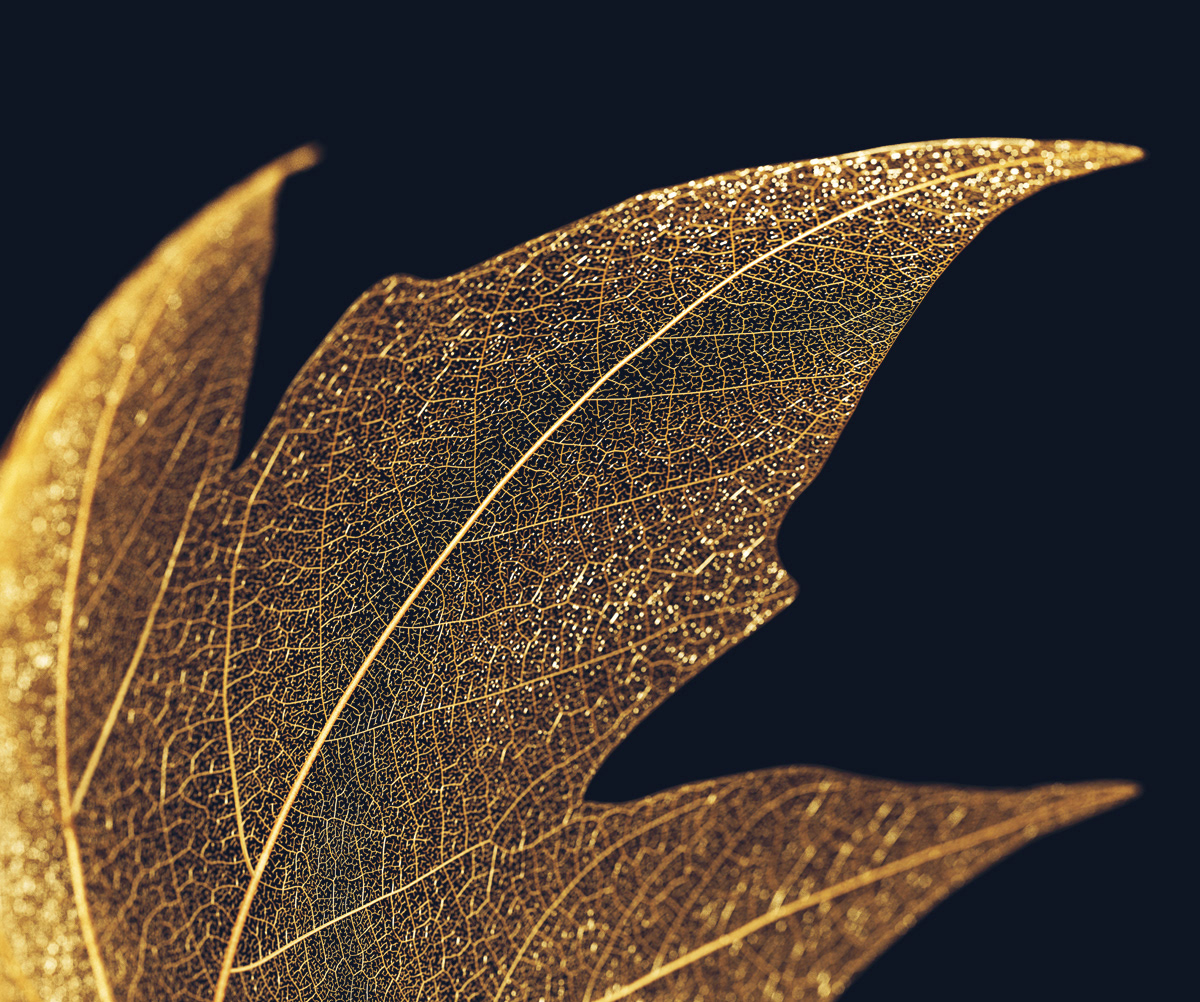 out of focus render of Gold Leaf Skeleton by Malcolm Tween