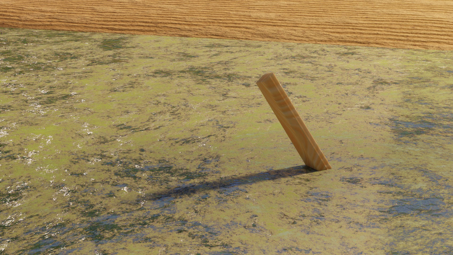Thick surface algae