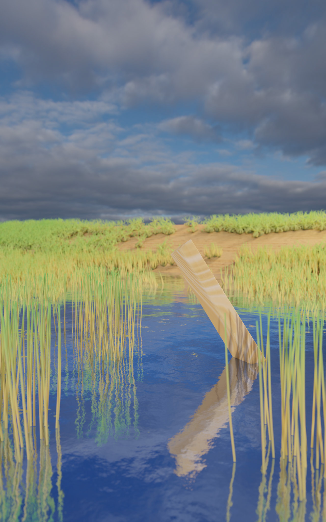 Low angle view | Grass placement tweaks | Adjusted sky
