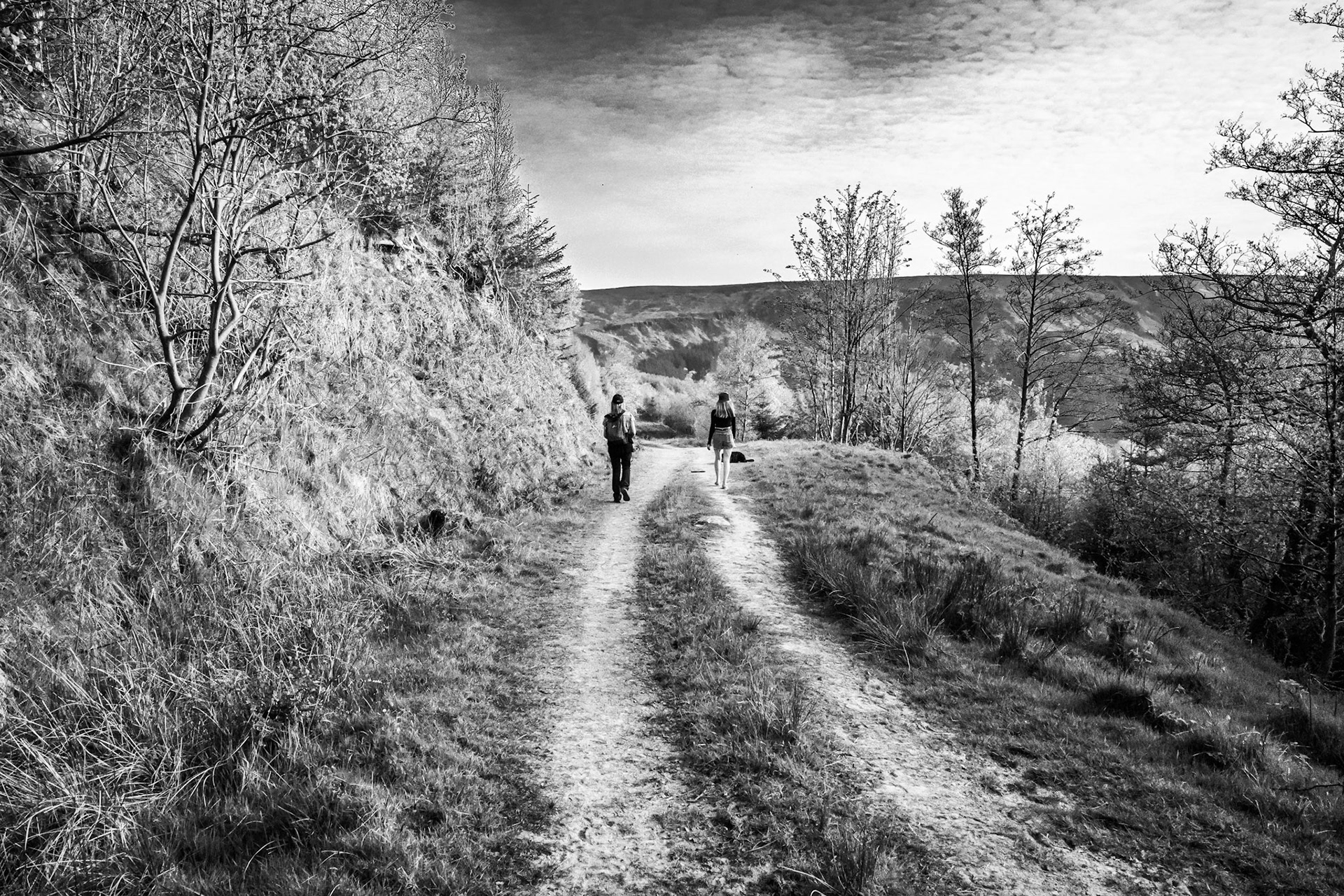 Escarpment Escape