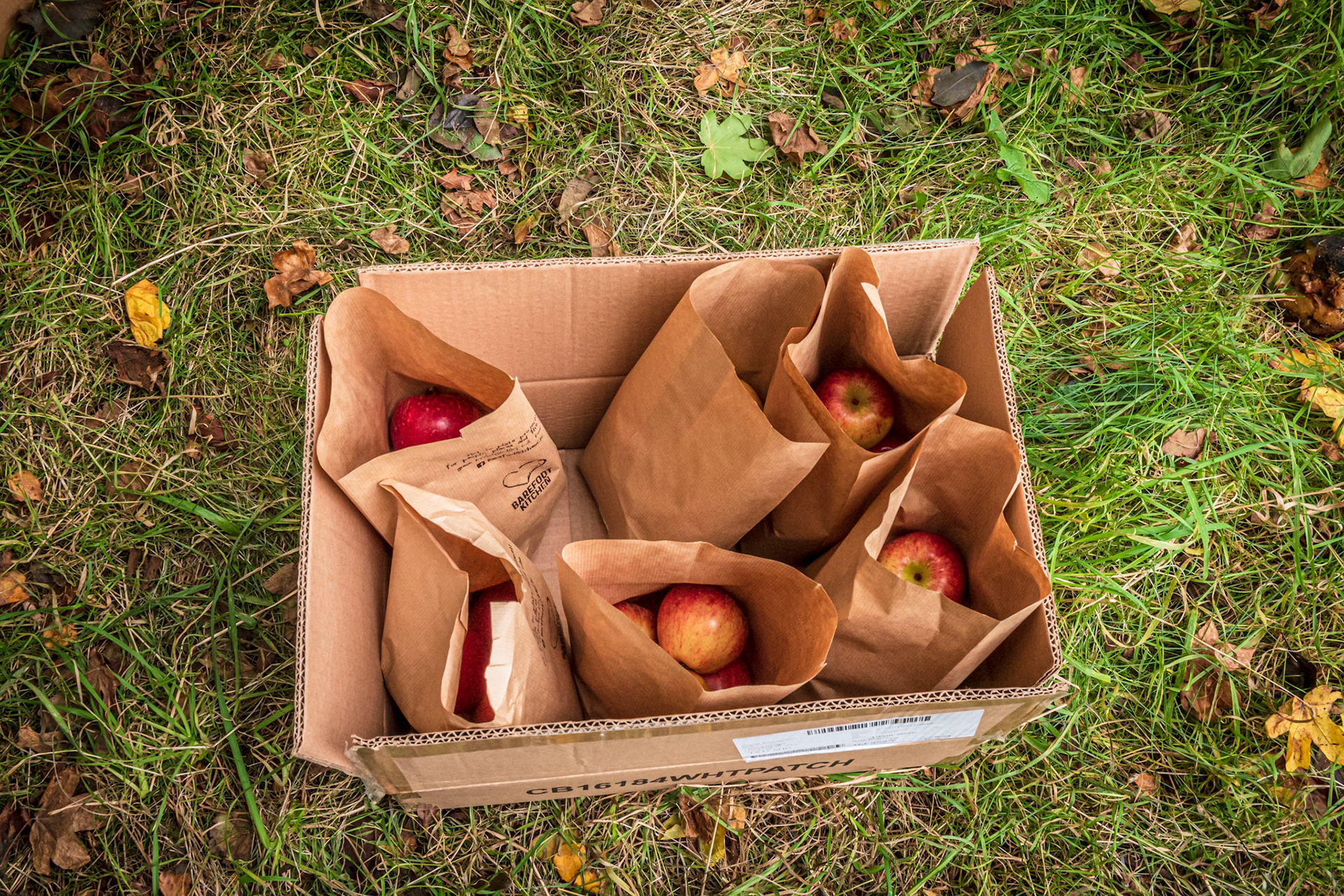 Bagged for Market