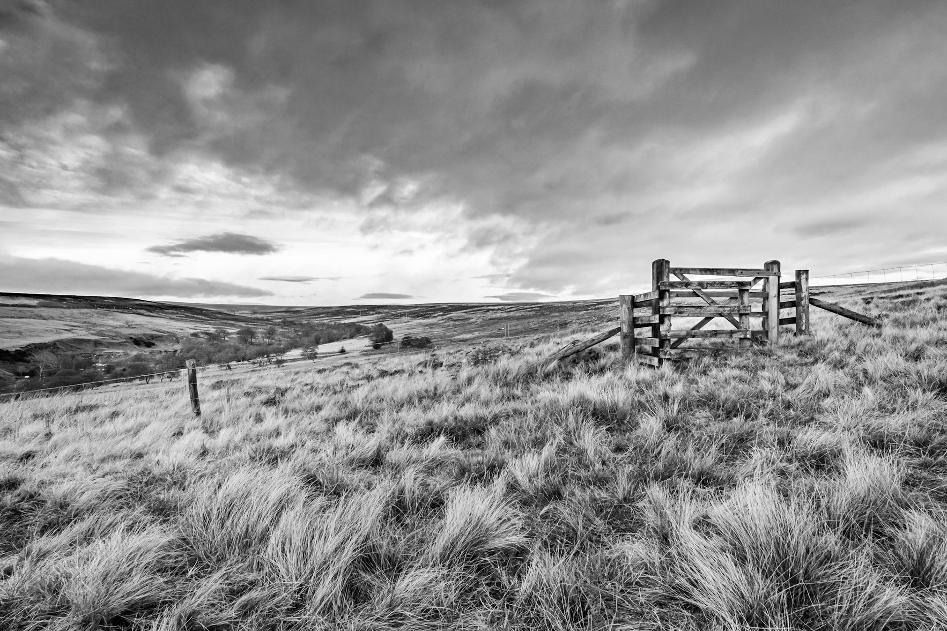 Path - Commondale Moor