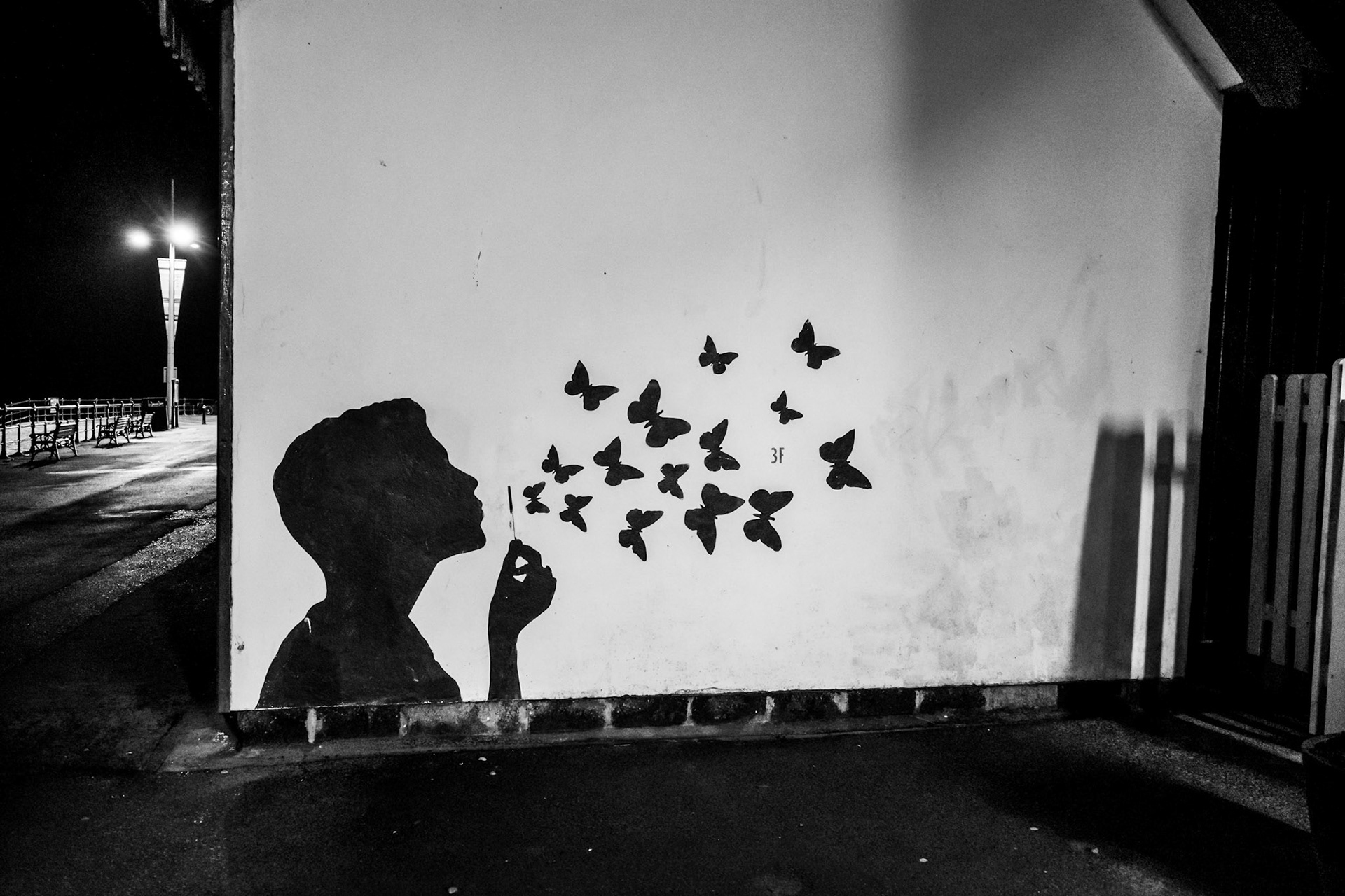 Butterfly Bubbles