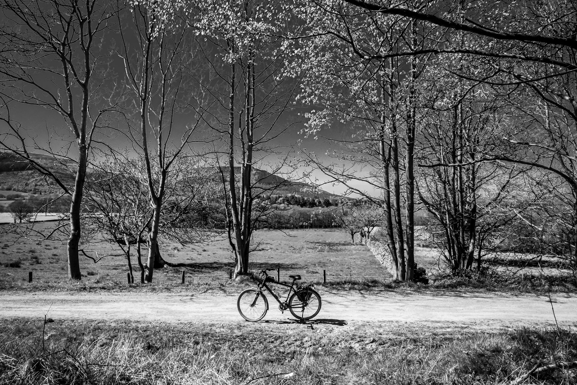 Cycle Dreams