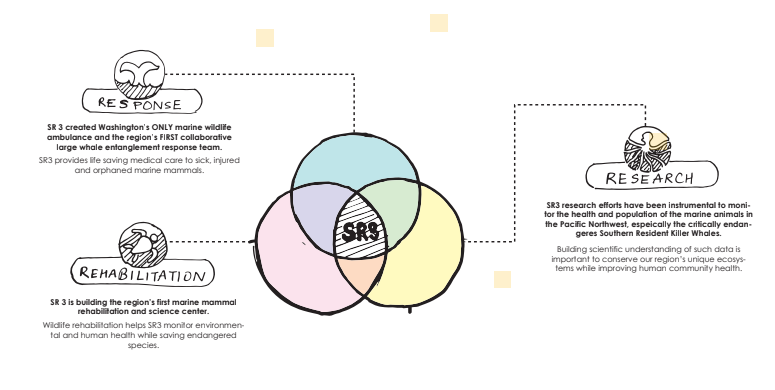 3R Infographic: Option 1