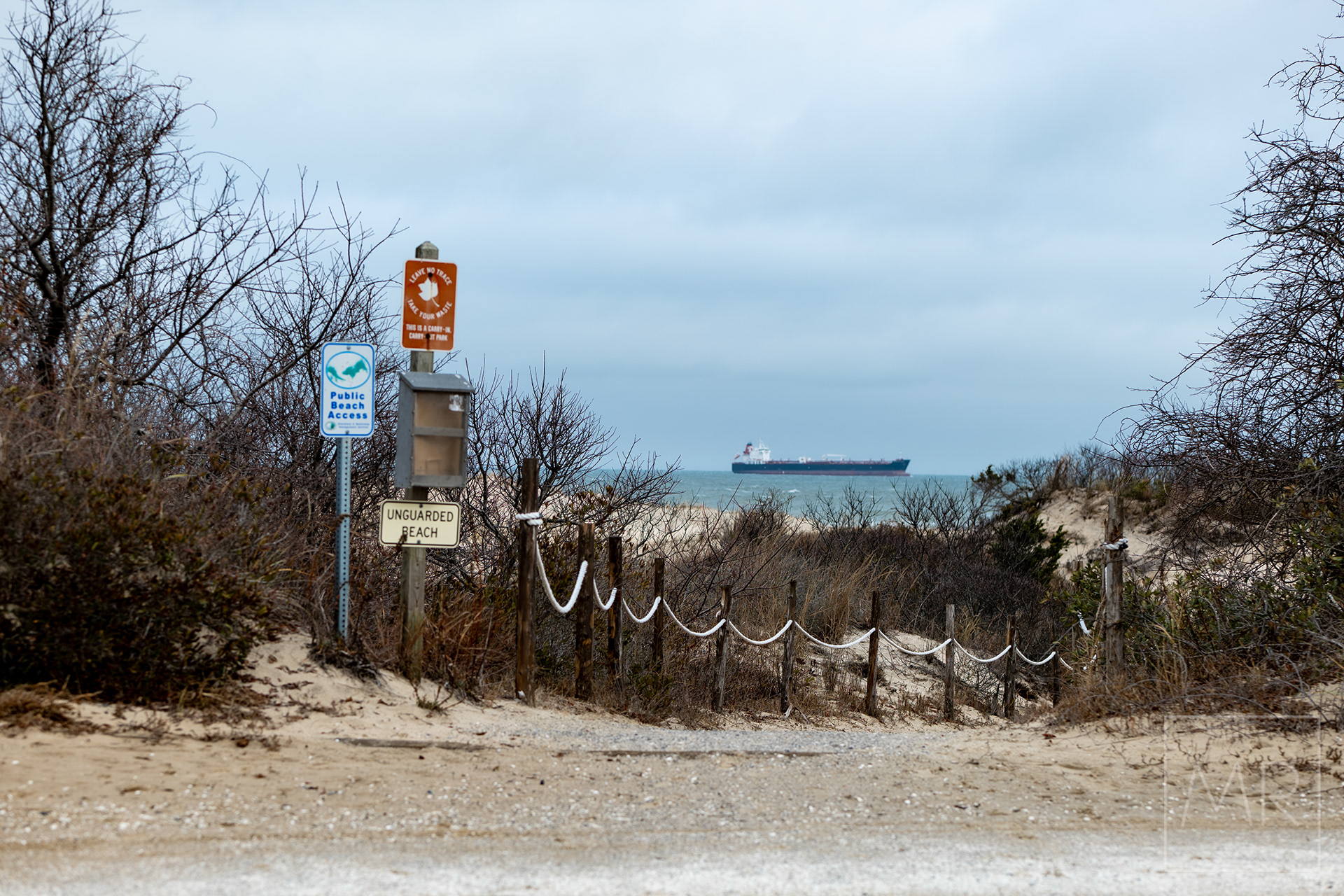 Matt Revel Cape Henlopen State Park