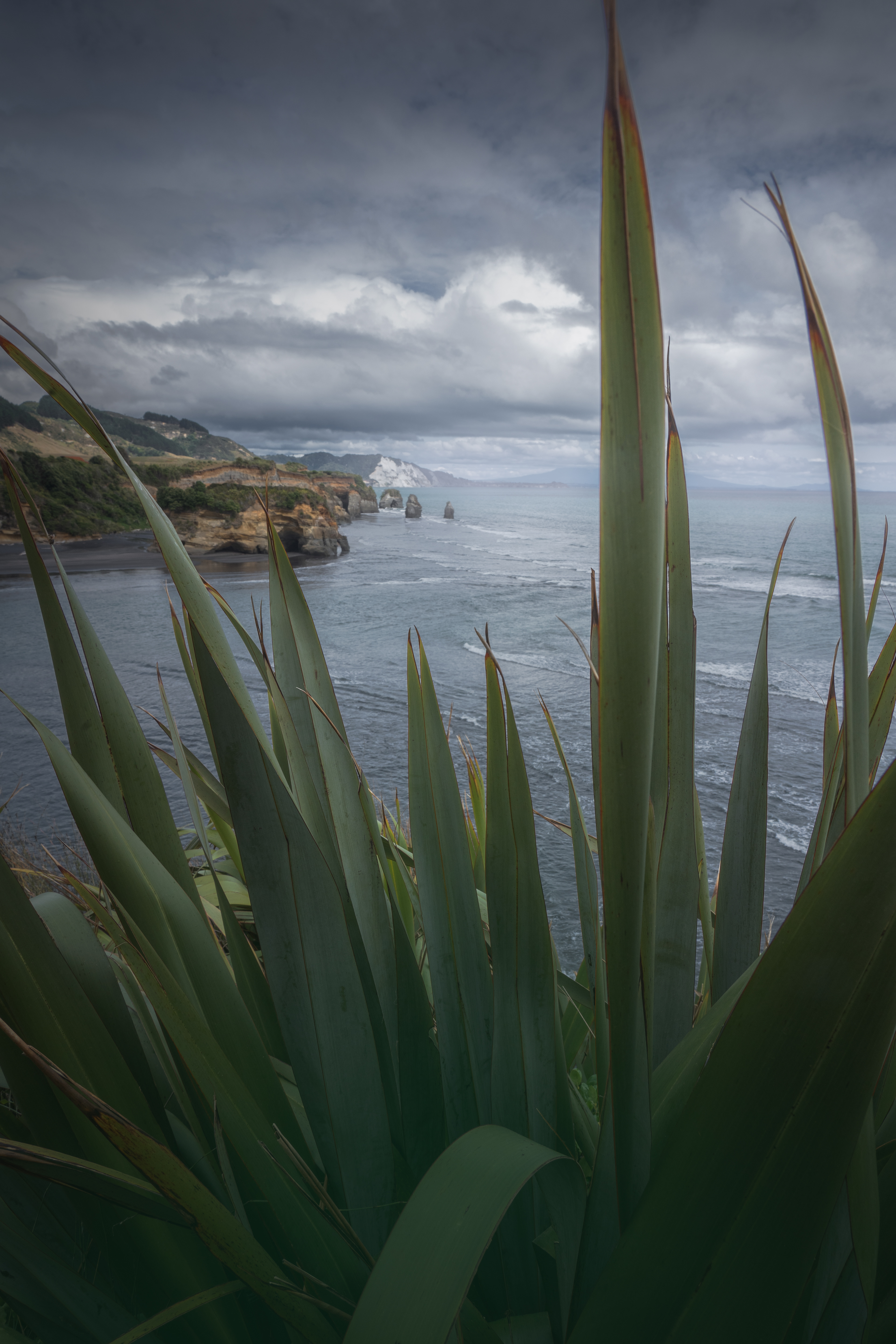Three Sisters and the Elephant Rock