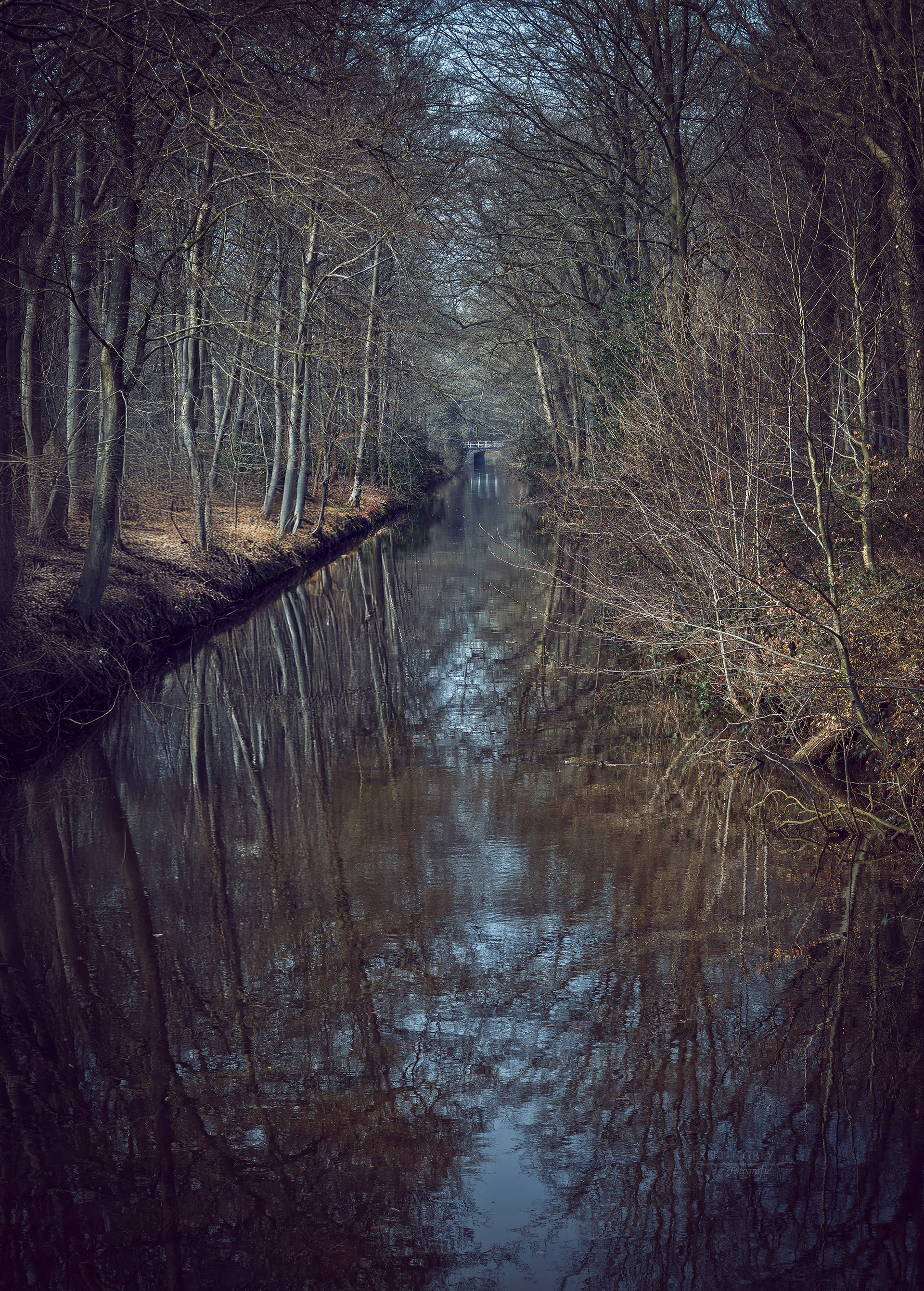 Doorkijkje belvédere, Oranjewoud