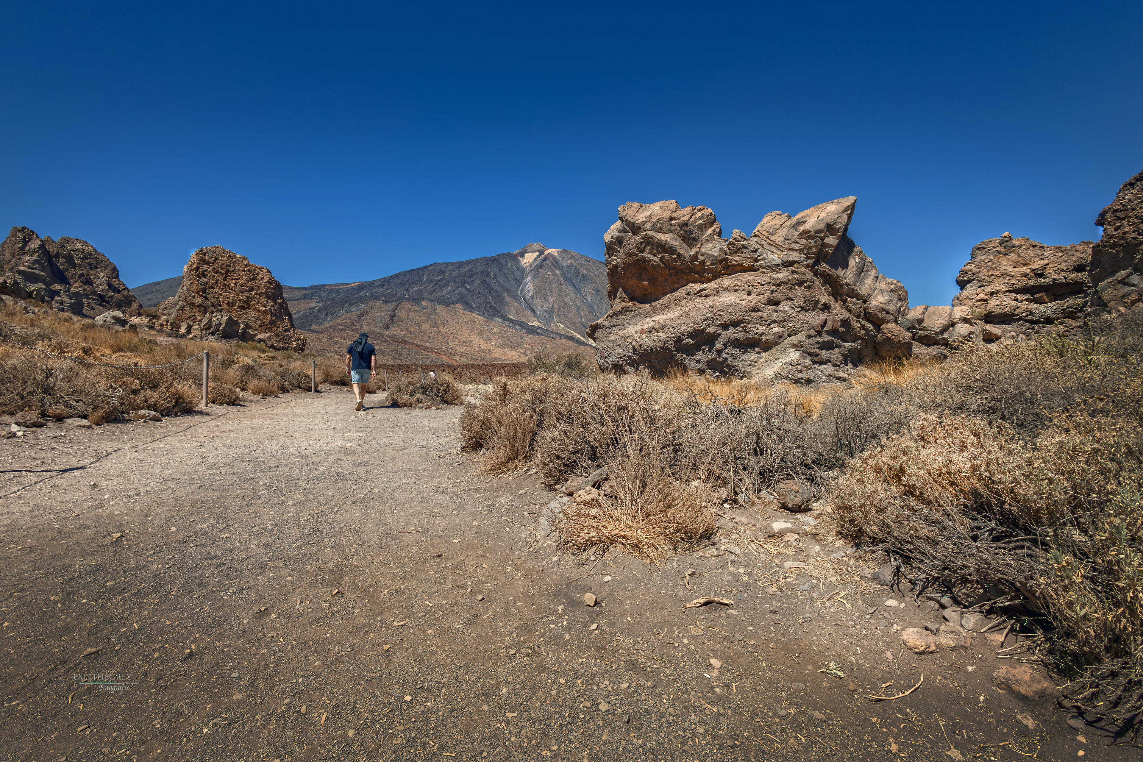 Vulkaan El Tiede, Tenerife