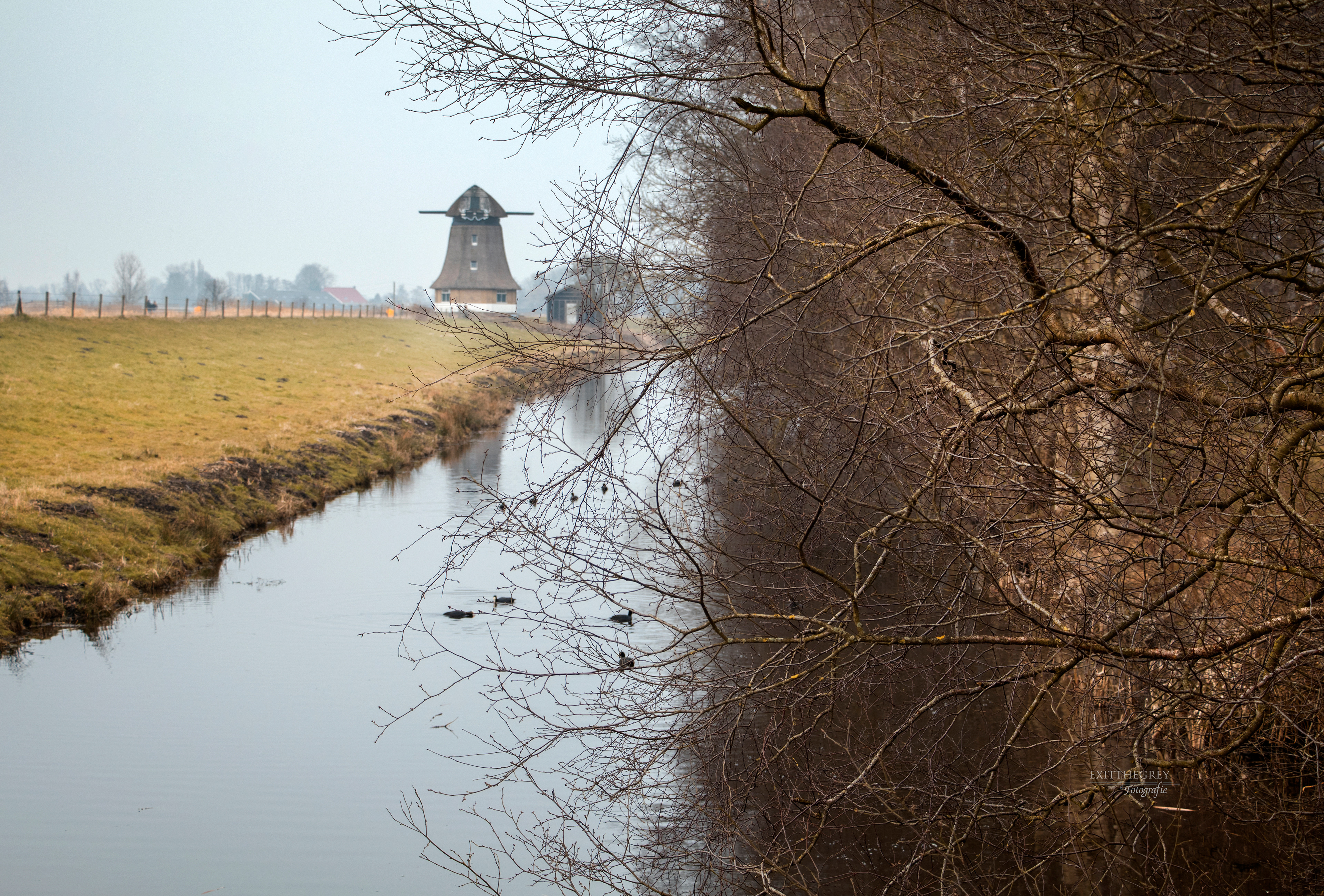 De Ulesprong, Tijnje