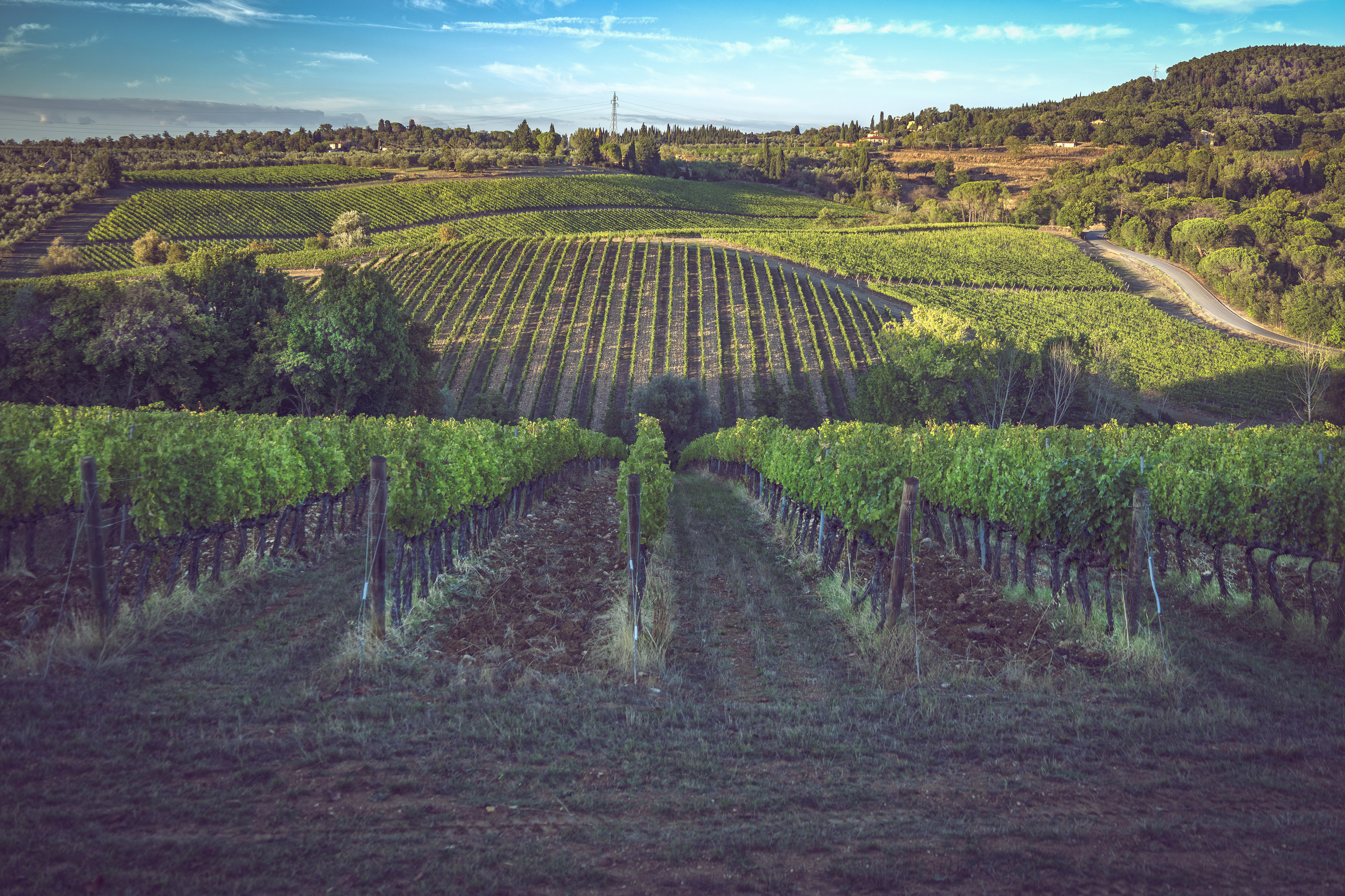 Chianti streek, Toscane