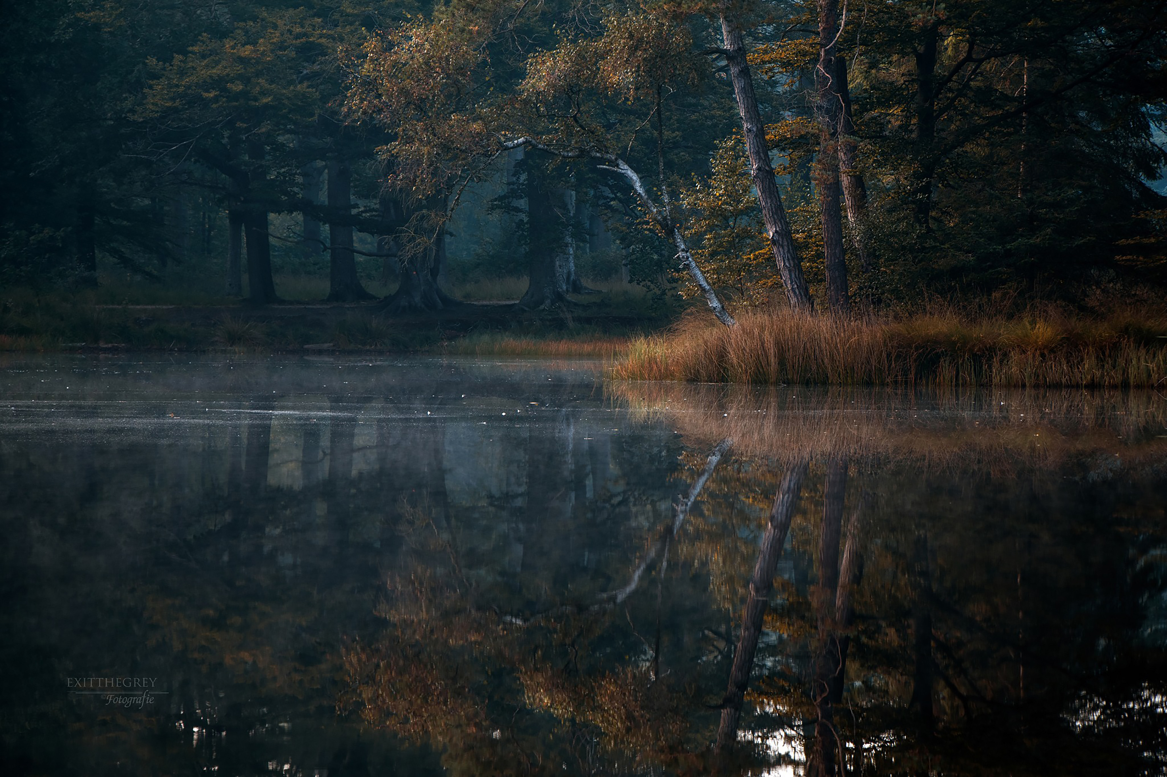 Freulevijver, Olterterp Fr