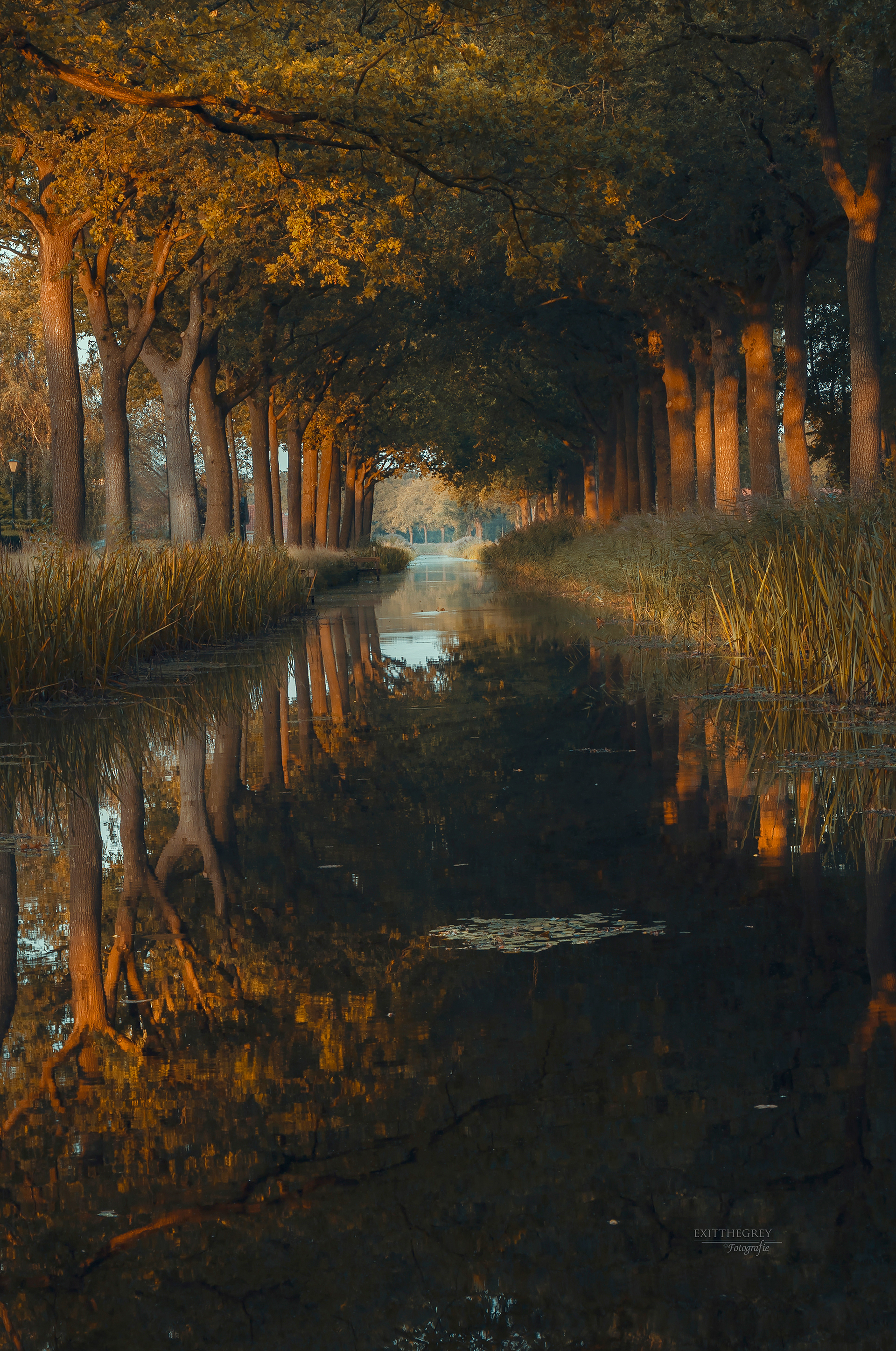 Compagnonsvaart, Bontebok Fr