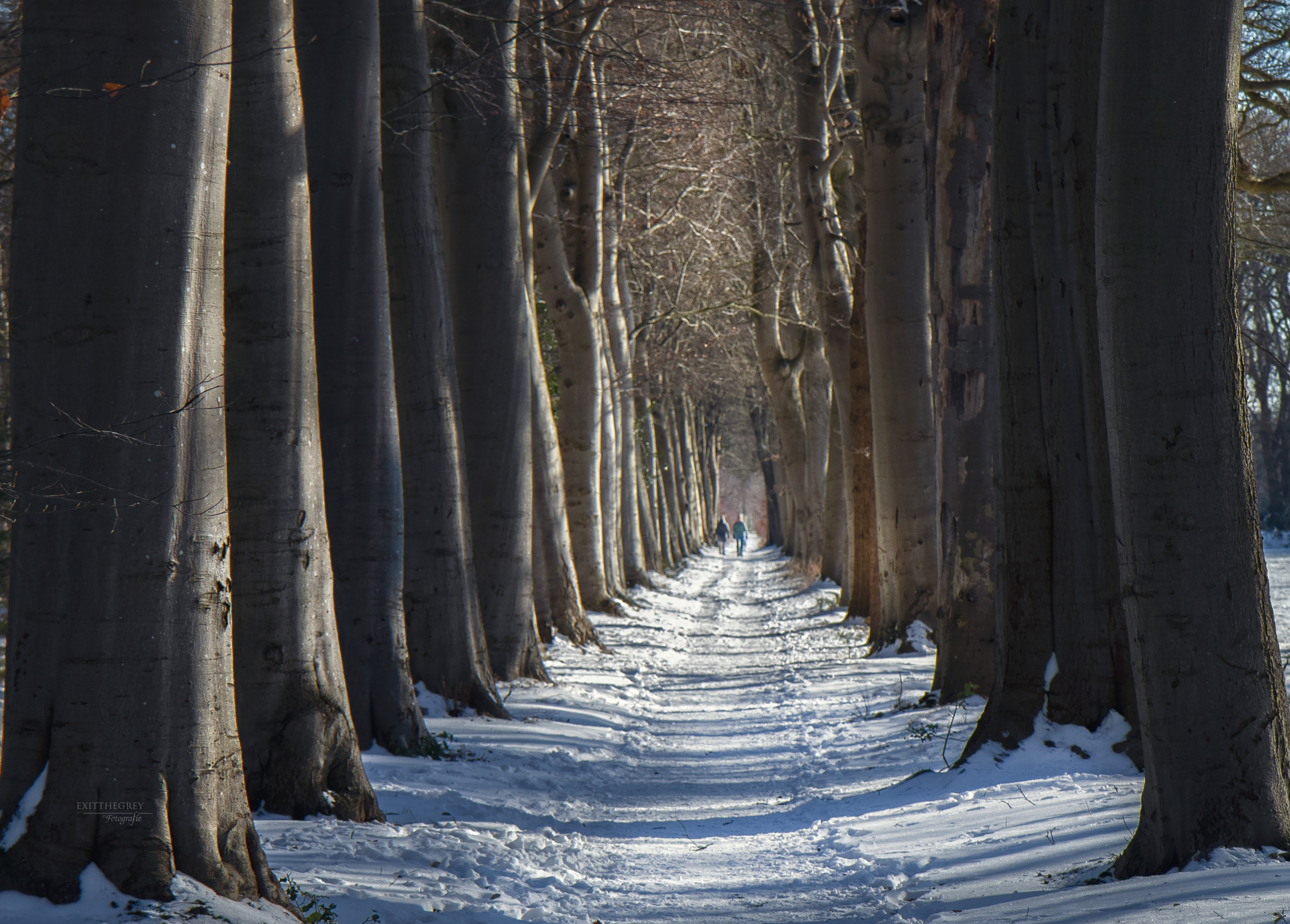Boventuin, Oranjewoud 2020