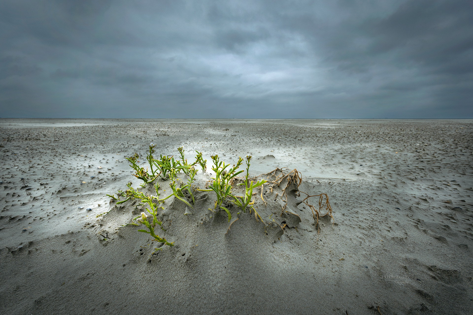 Westerstrand, Schiermonnikoog