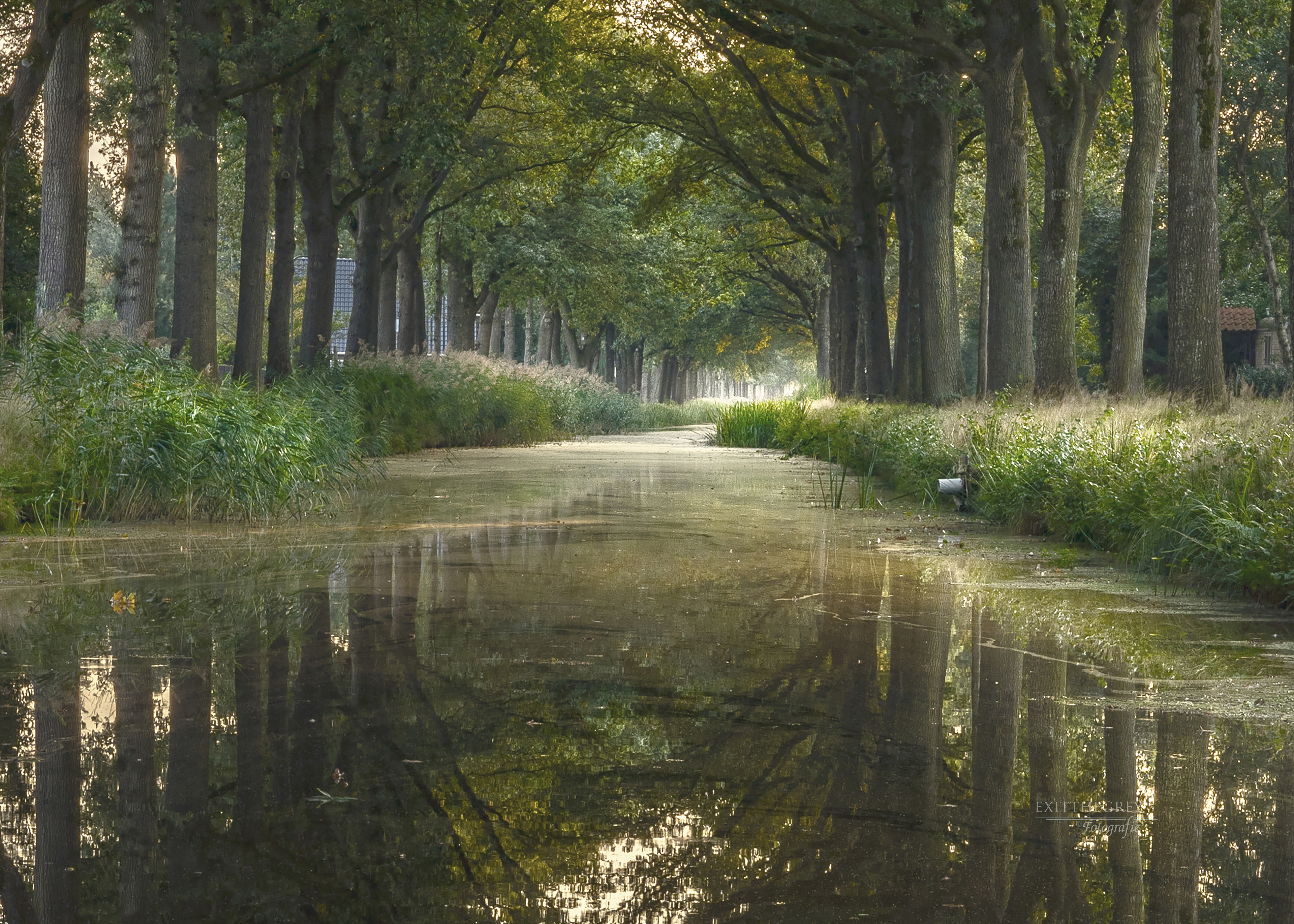 Compagnonsvaart, Bontebok Fr