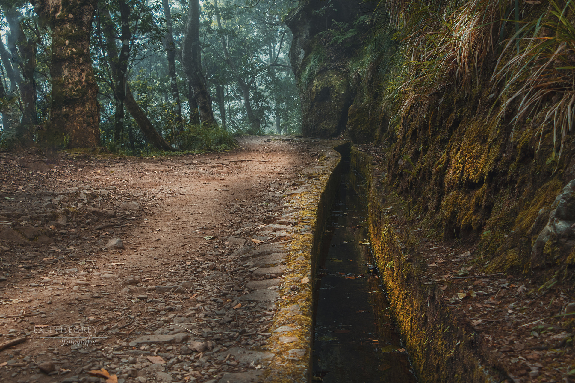 Levada Ribeiro Frio, Madeira
